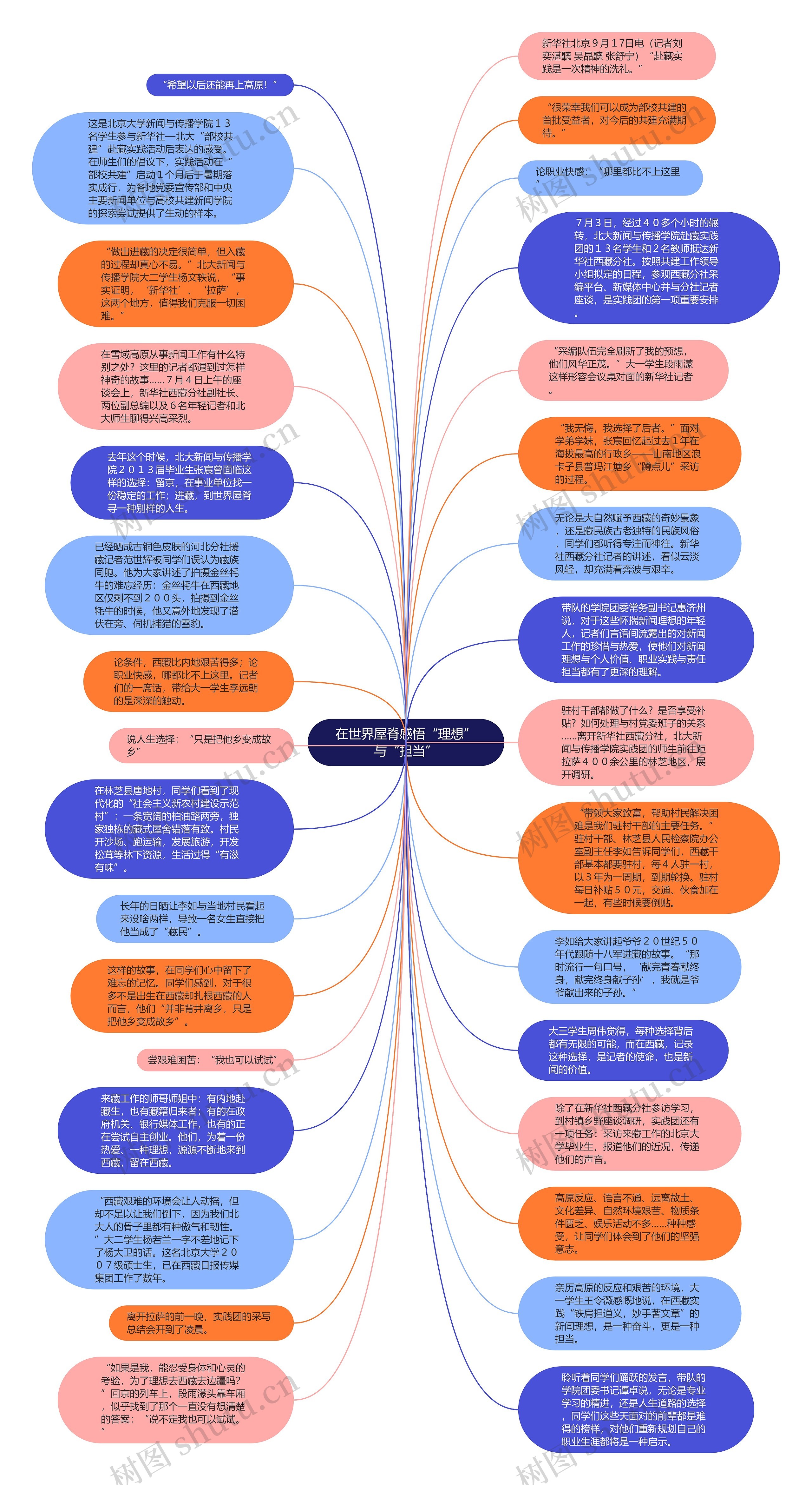 在世界屋脊感悟“理想”与“担当”思维导图