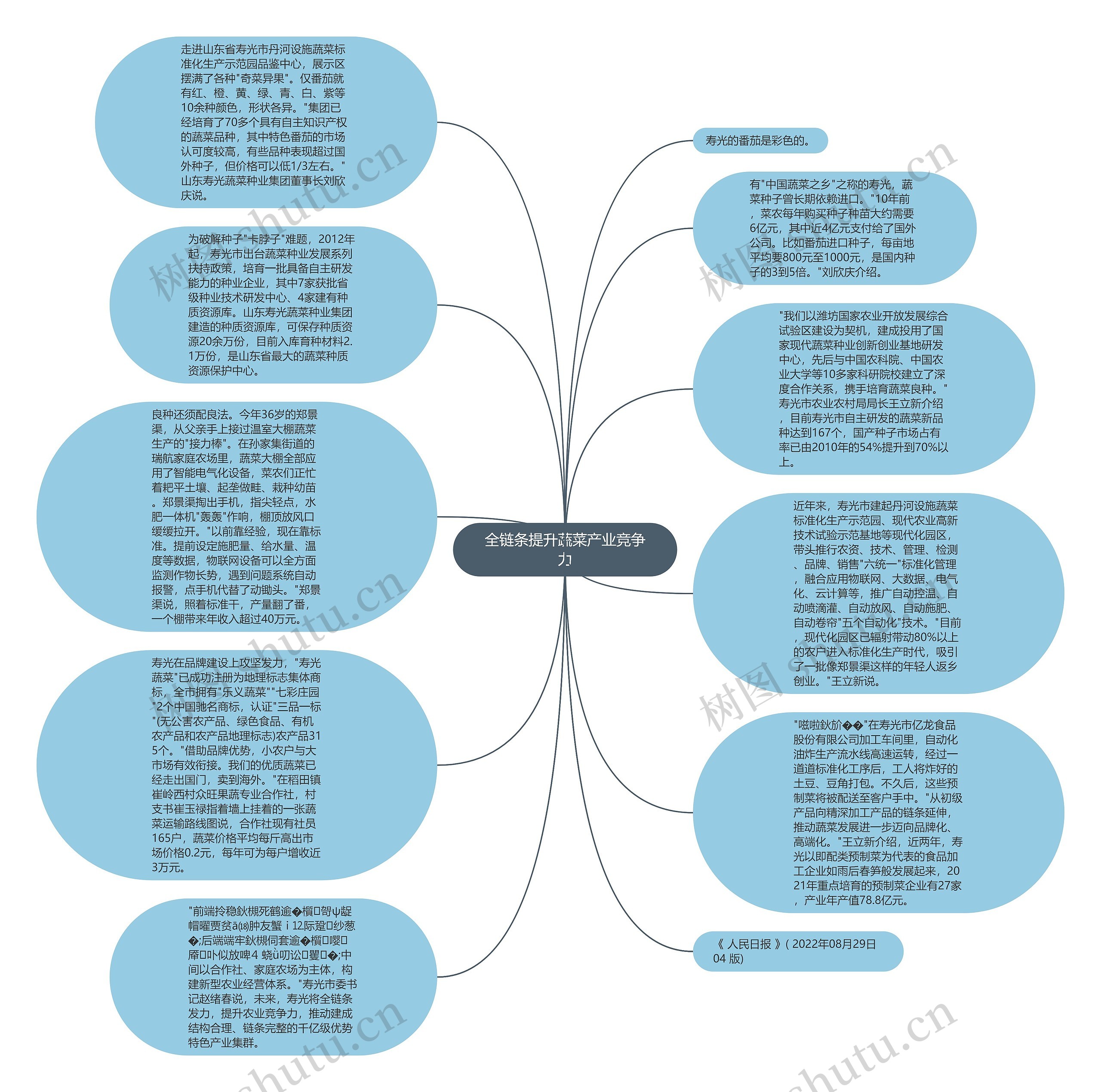 全链条提升蔬菜产业竞争力思维导图