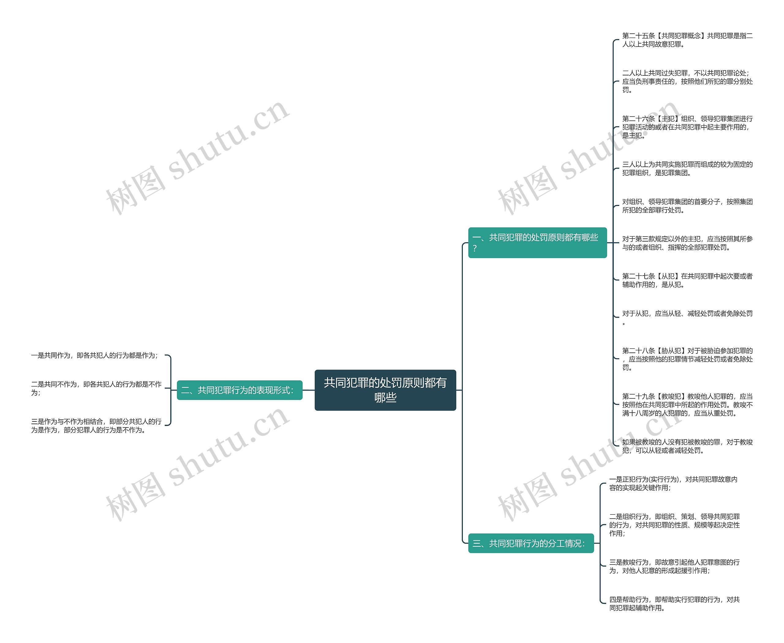 共同犯罪的处罚原则都有哪些思维导图