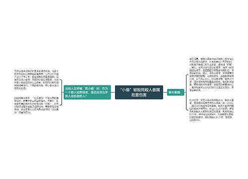 “小偷”被殴死殴人者属故意伤害