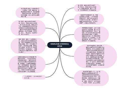 时政热点:慰安妇奶奶的生命怒放