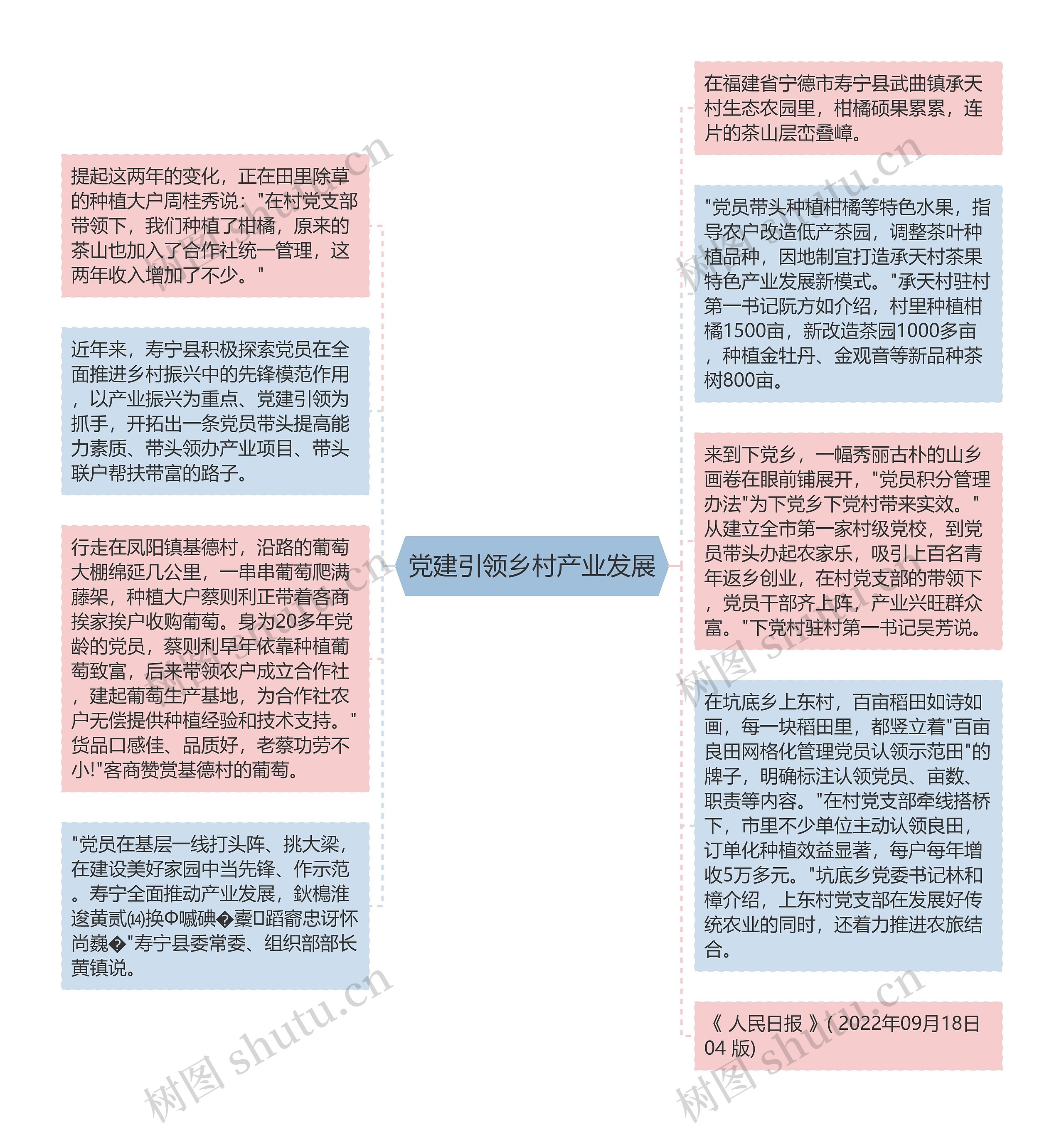 党建引领乡村产业发展