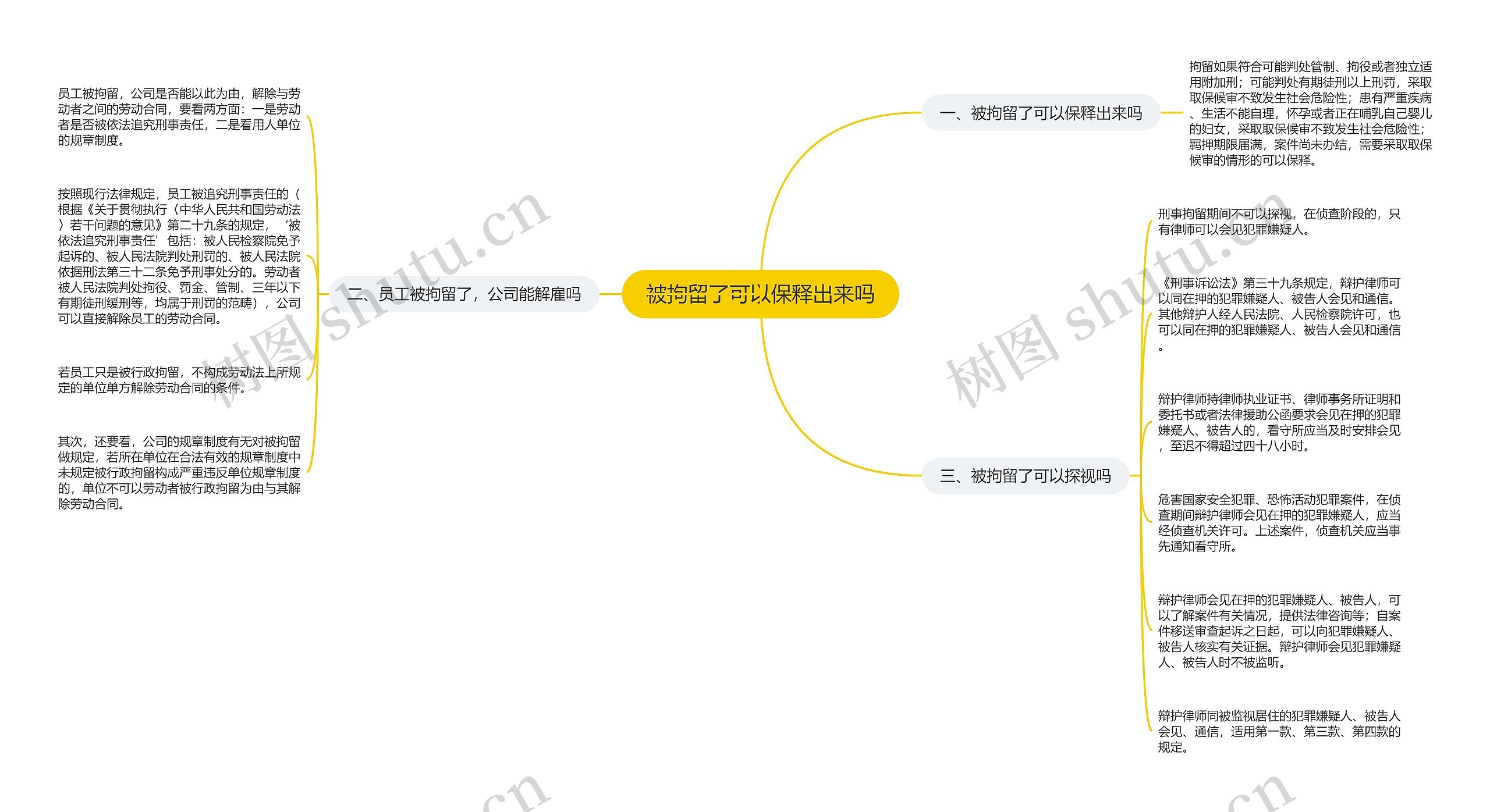 被拘留了可以保释出来吗思维导图