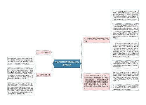 2022年共同犯罪的认定标准是什么