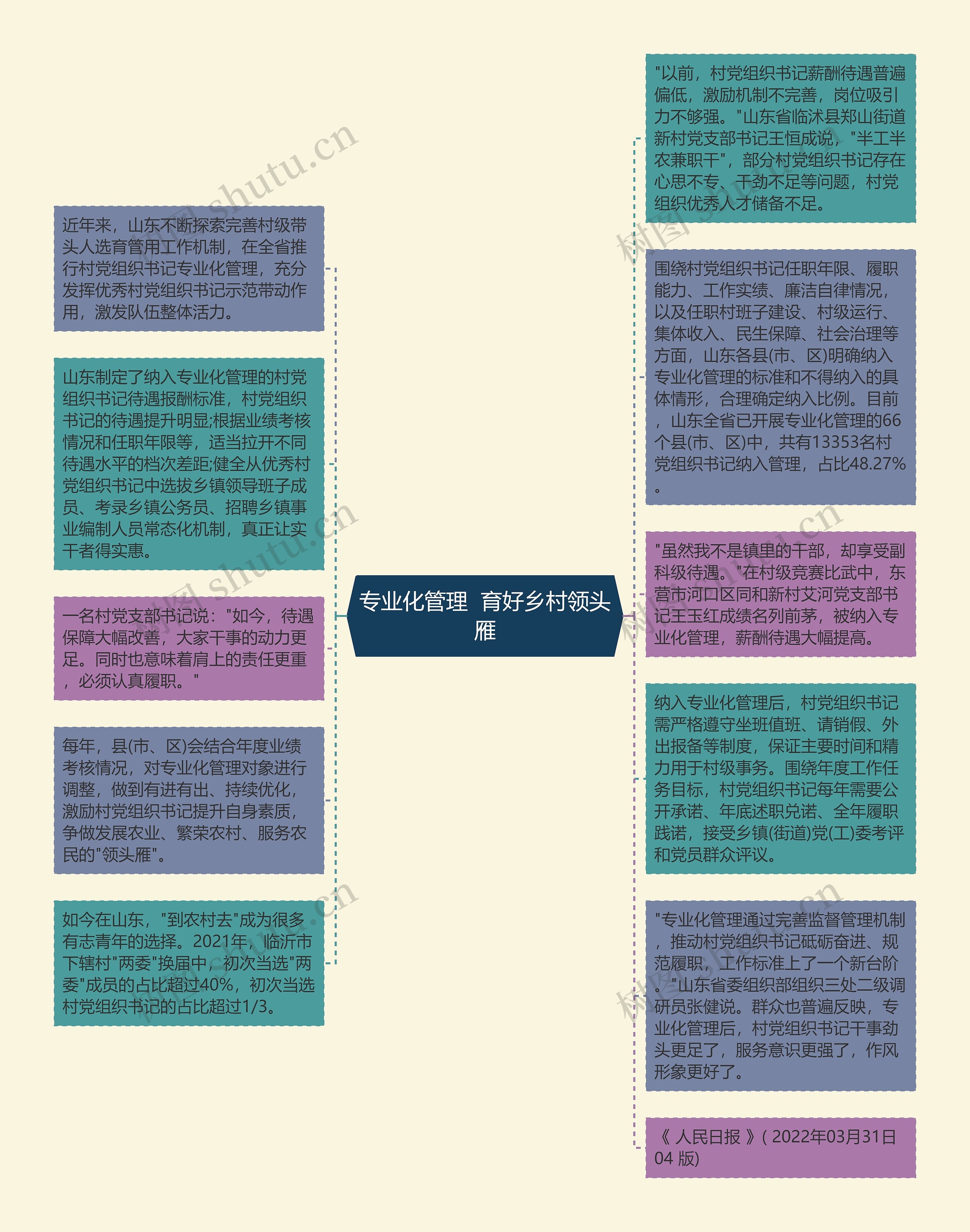 专业化管理  育好乡村领头雁思维导图