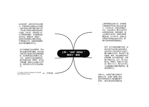 上海一“老赖”因违反“限高令”被拘