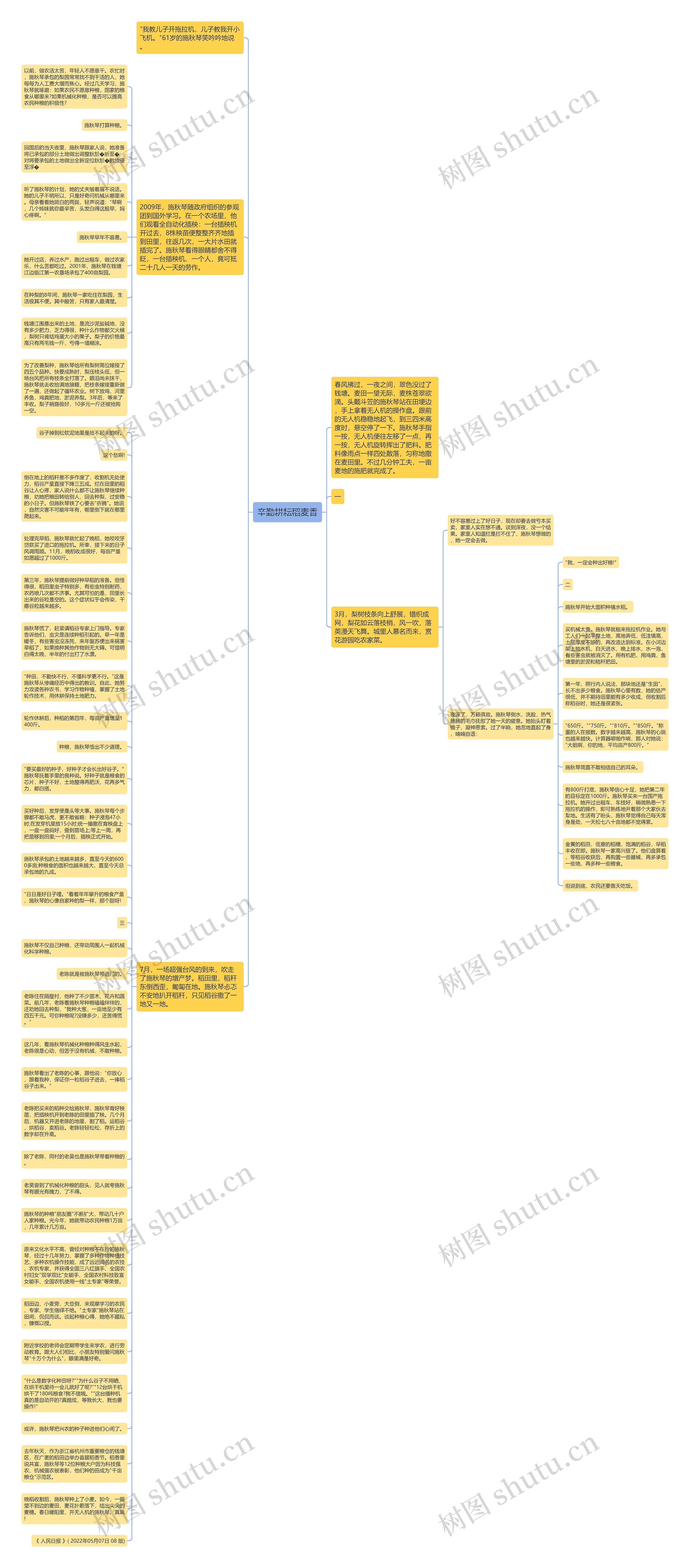 辛勤耕耘稻麦香思维导图
