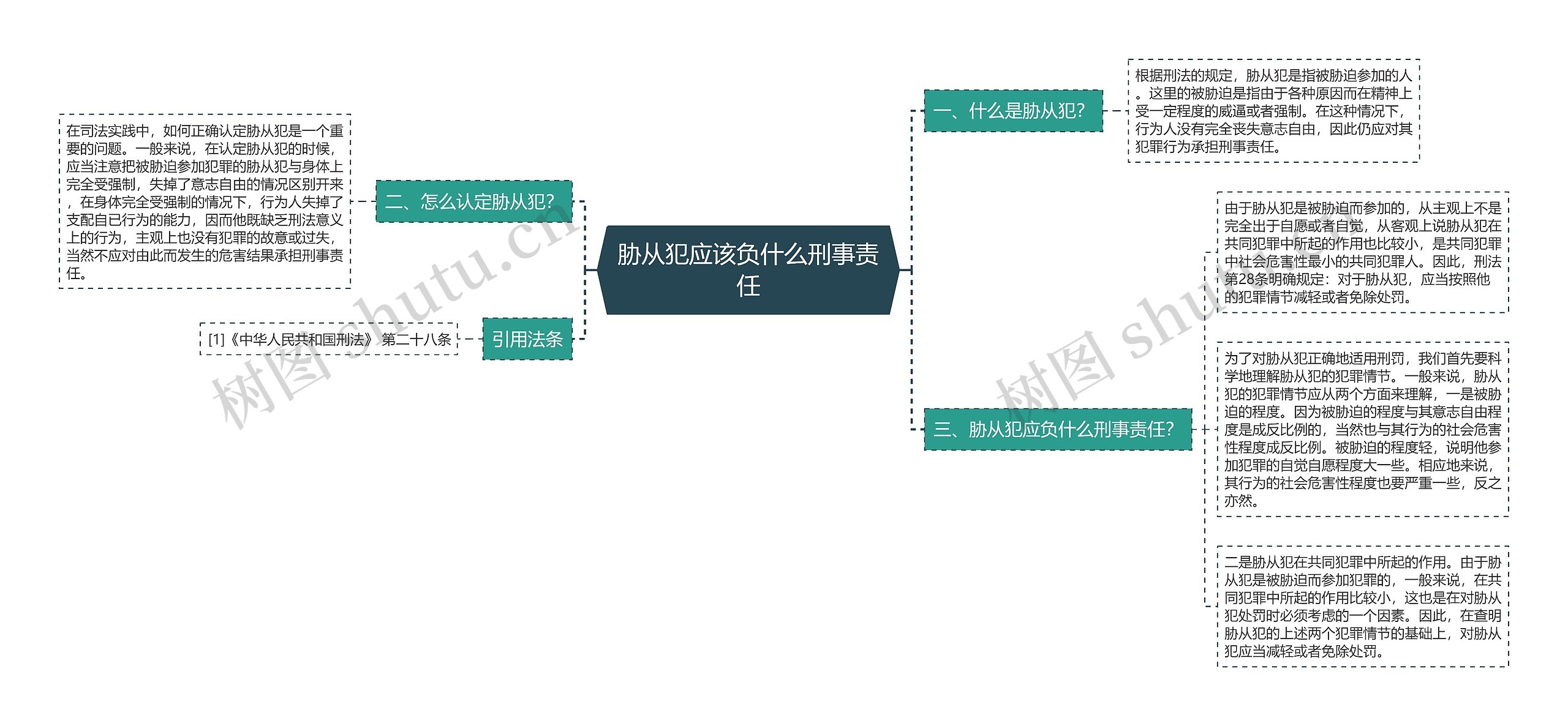 胁从犯应该负什么刑事责任