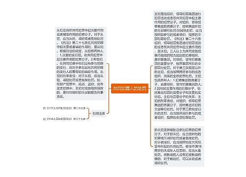 共同犯罪人的处罚