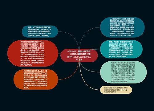 时政热点：网络主播雪梨、林珊珊因偷逃税款分别被罚6555.31万元和2767.25万元