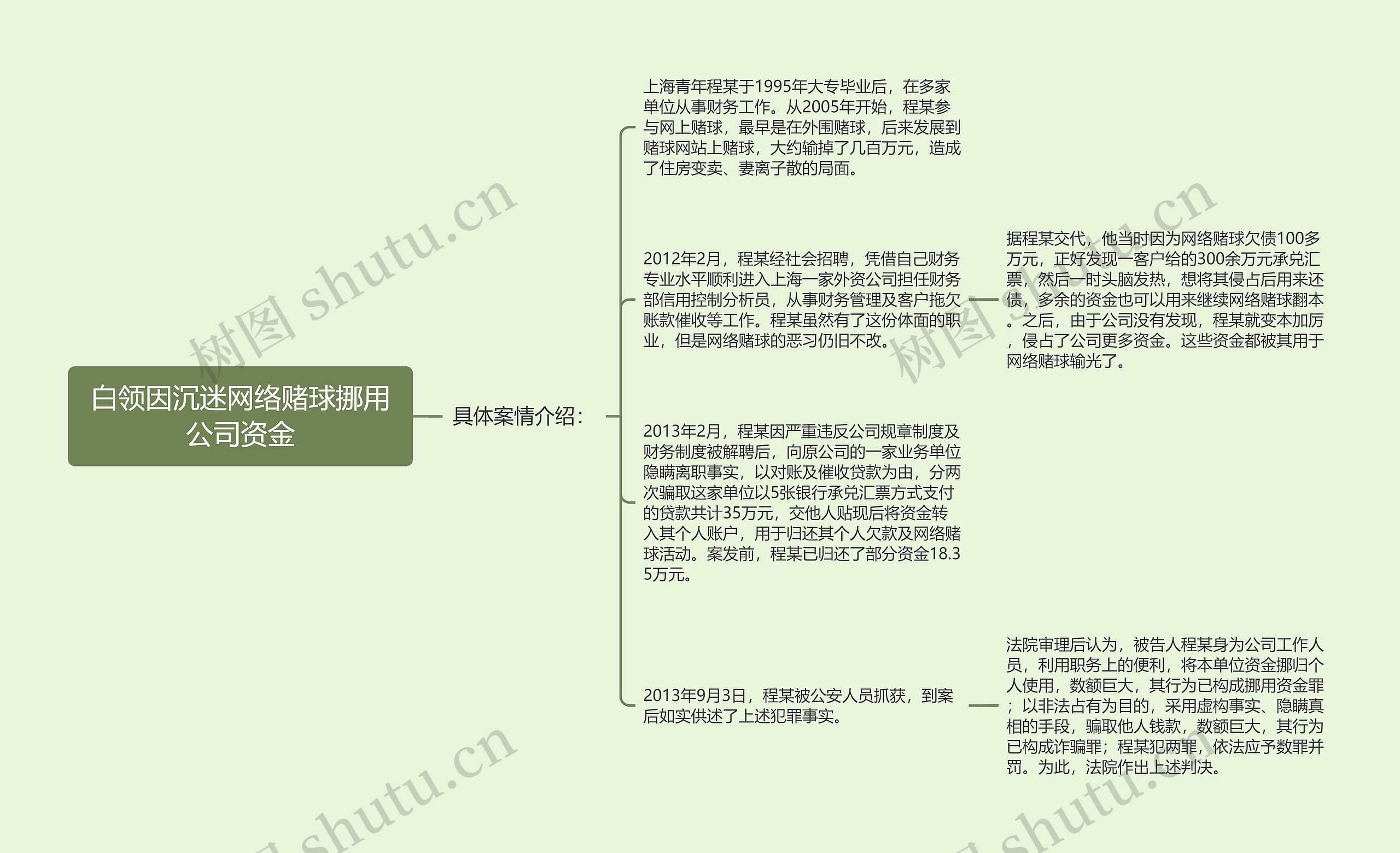 白领因沉迷网络赌球挪用公司资金思维导图