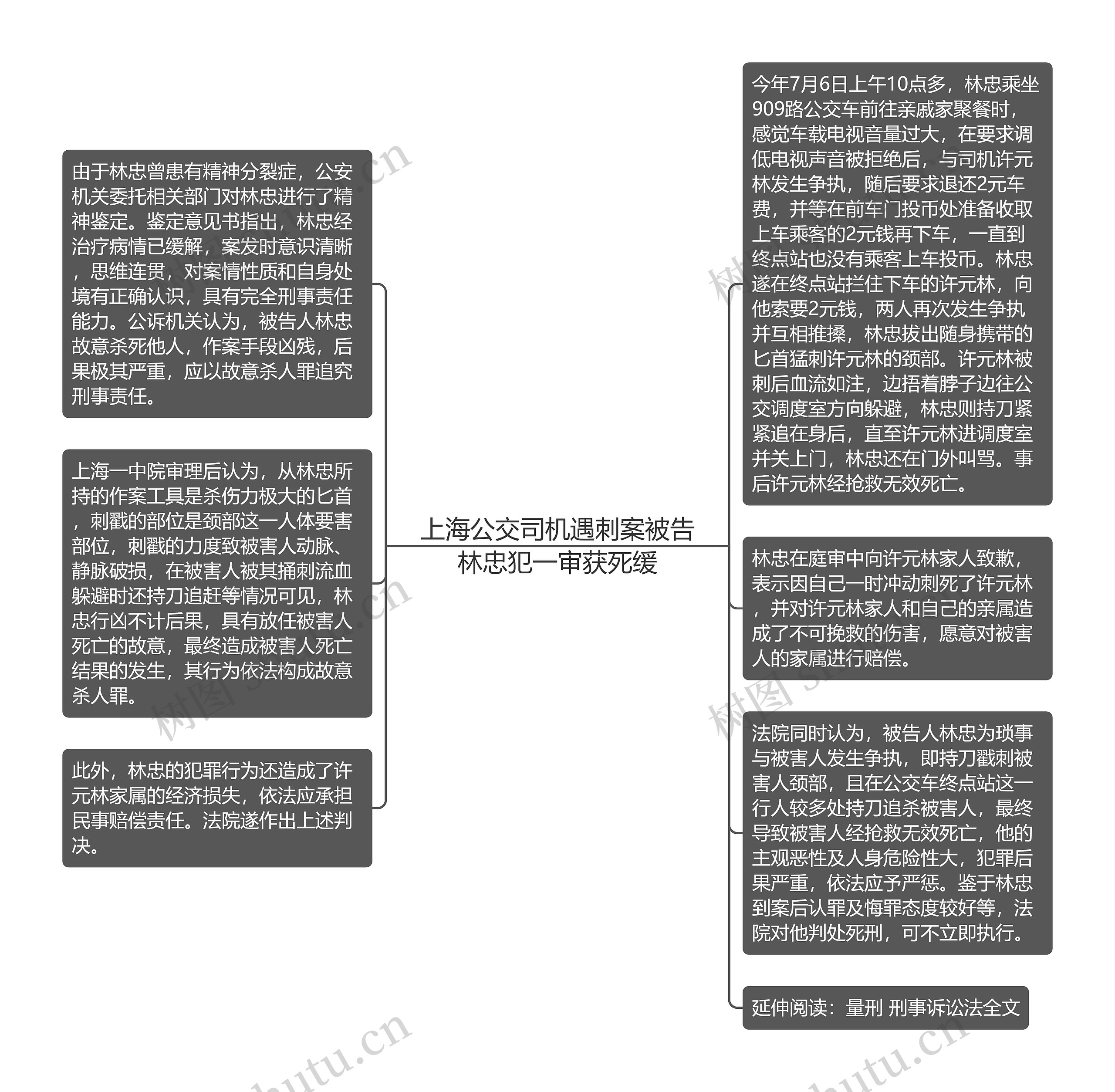 上海公交司机遇刺案被告林忠犯一审获死缓思维导图