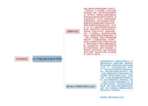 女子雇凶刺杀前夫孕妻