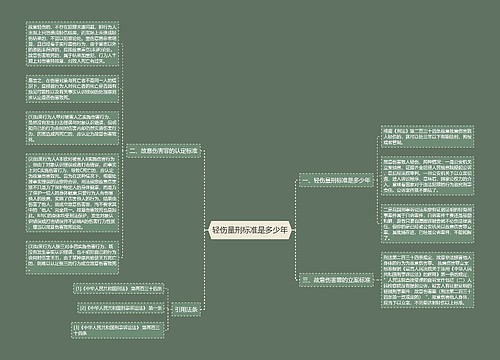 轻伤量刑标准是多少年