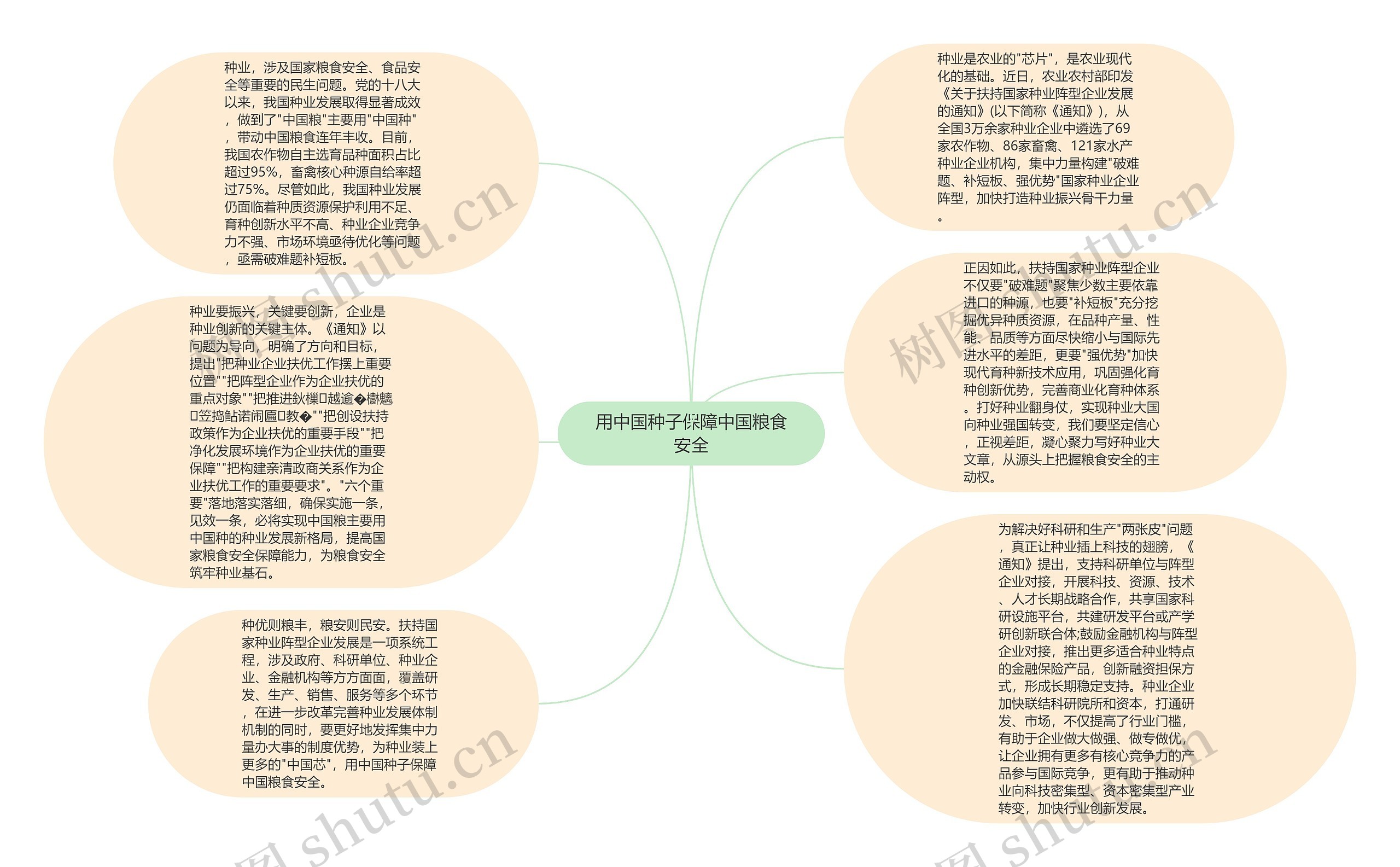 用中国种子保障中国粮食安全