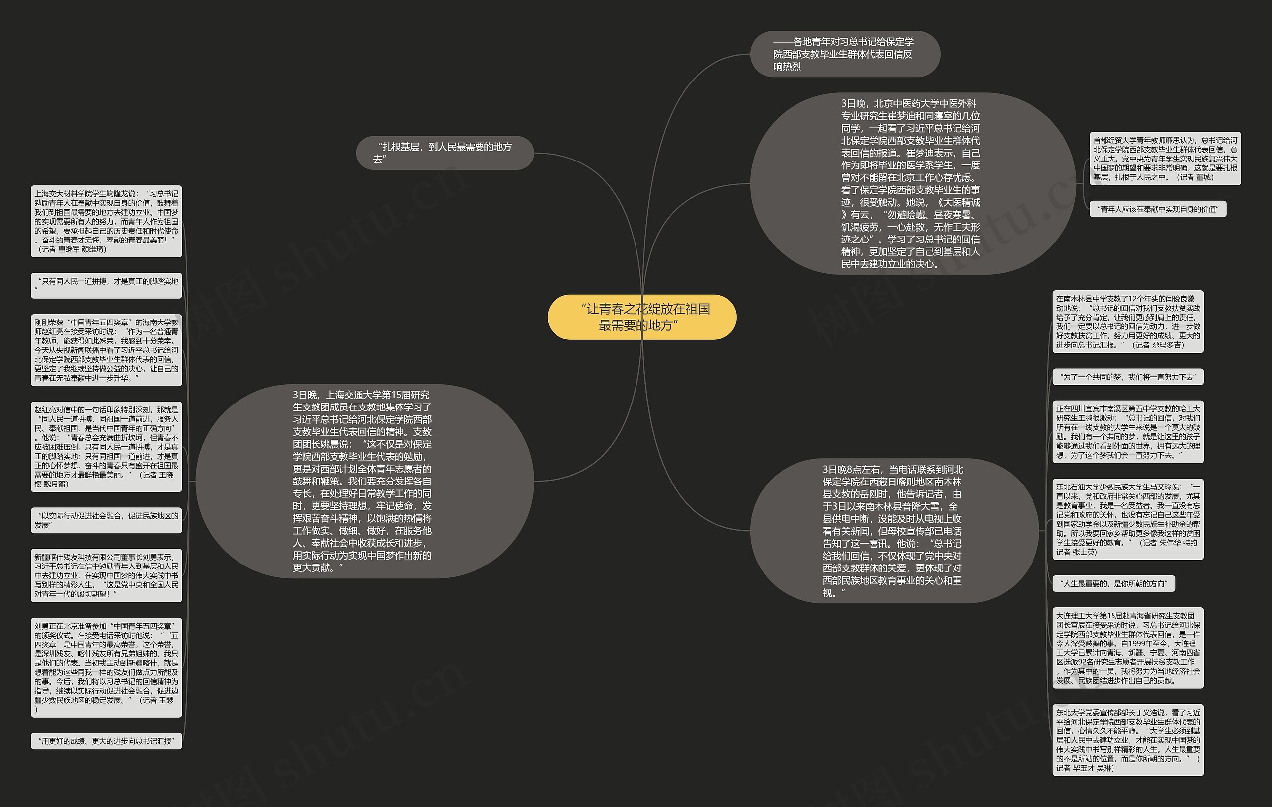 “让青春之花绽放在祖国最需要的地方”思维导图