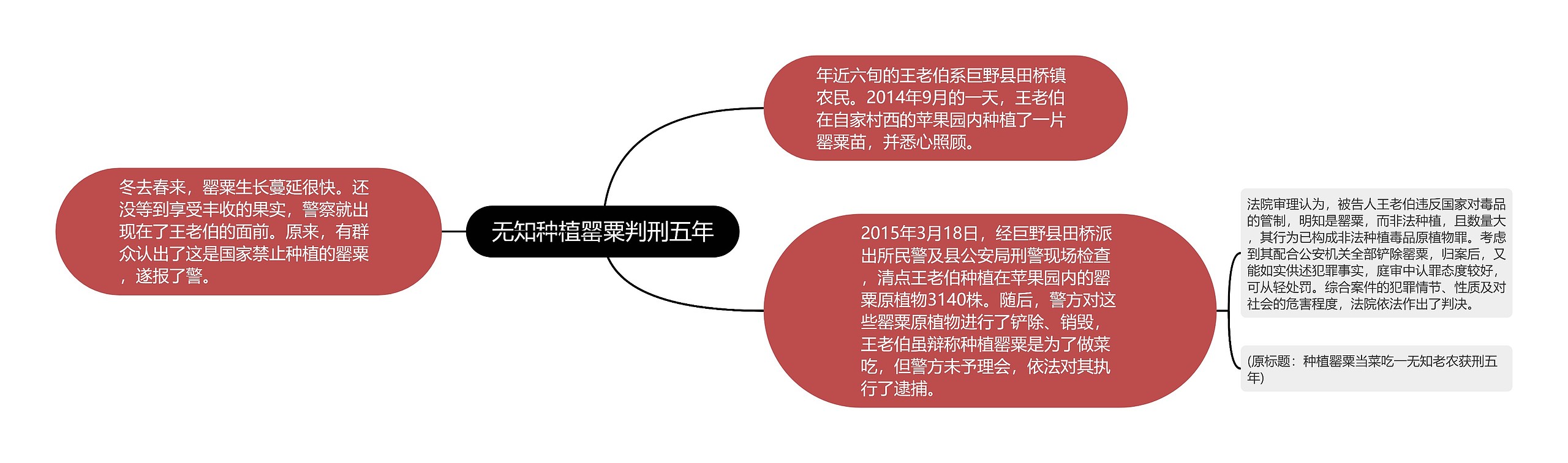 无知种植罂粟判刑五年