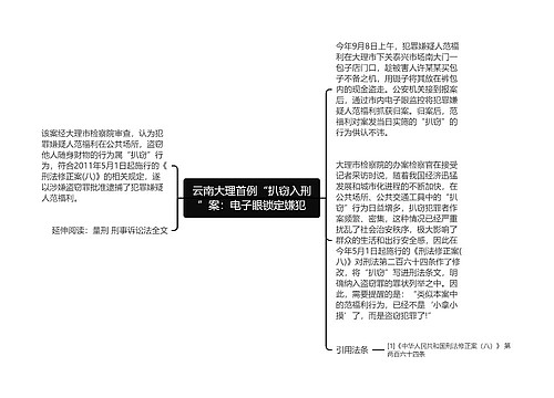 云南大理首例“扒窃入刑”案：电子眼锁定嫌犯