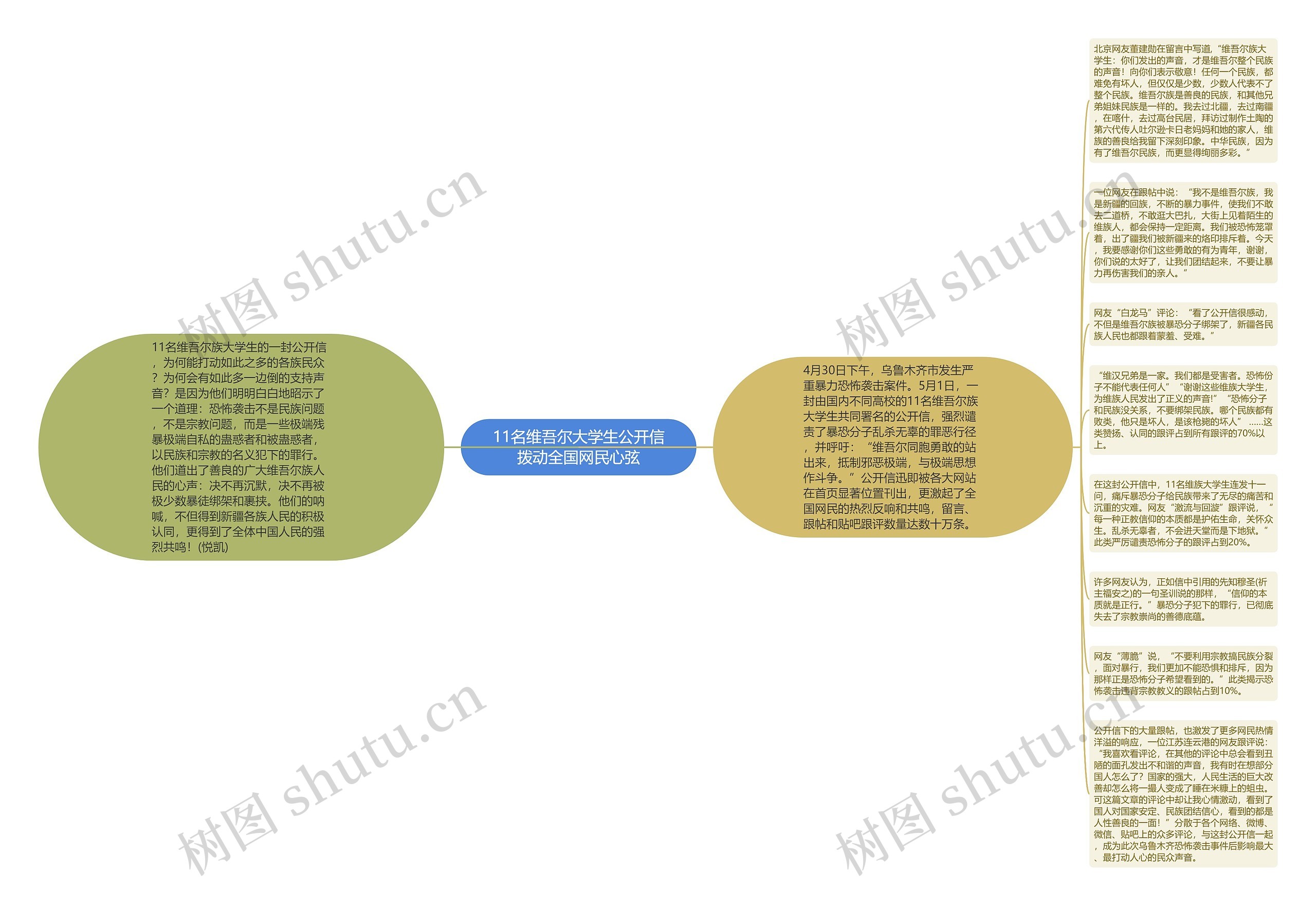 11名维吾尔大学生公开信拨动全国网民心弦