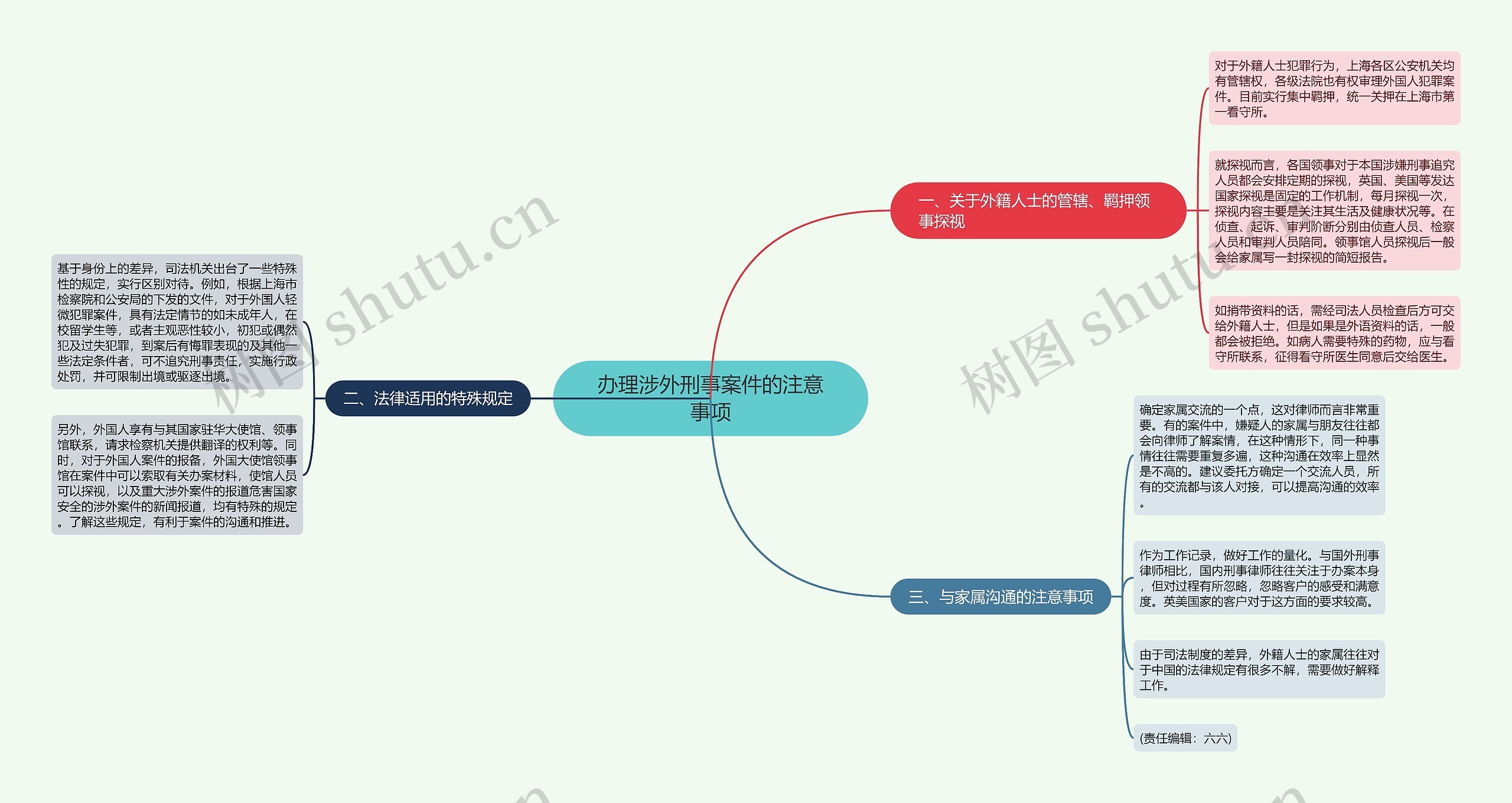 办理涉外刑事案件的注意事项思维导图