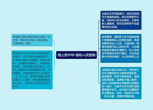 撞上路中树 植物人获国赔