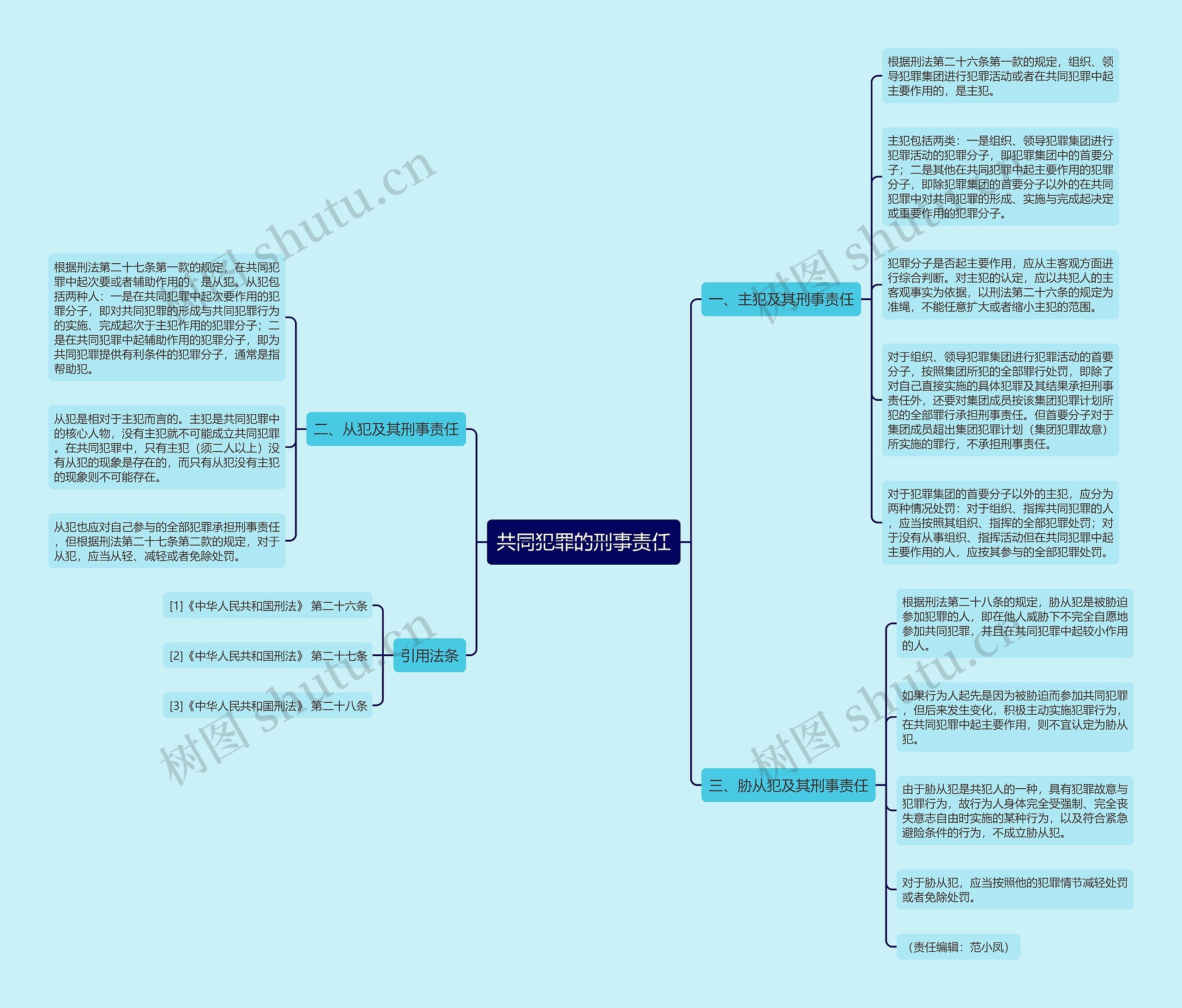 共同犯罪的刑事责任 共同犯罪的刑事责任
