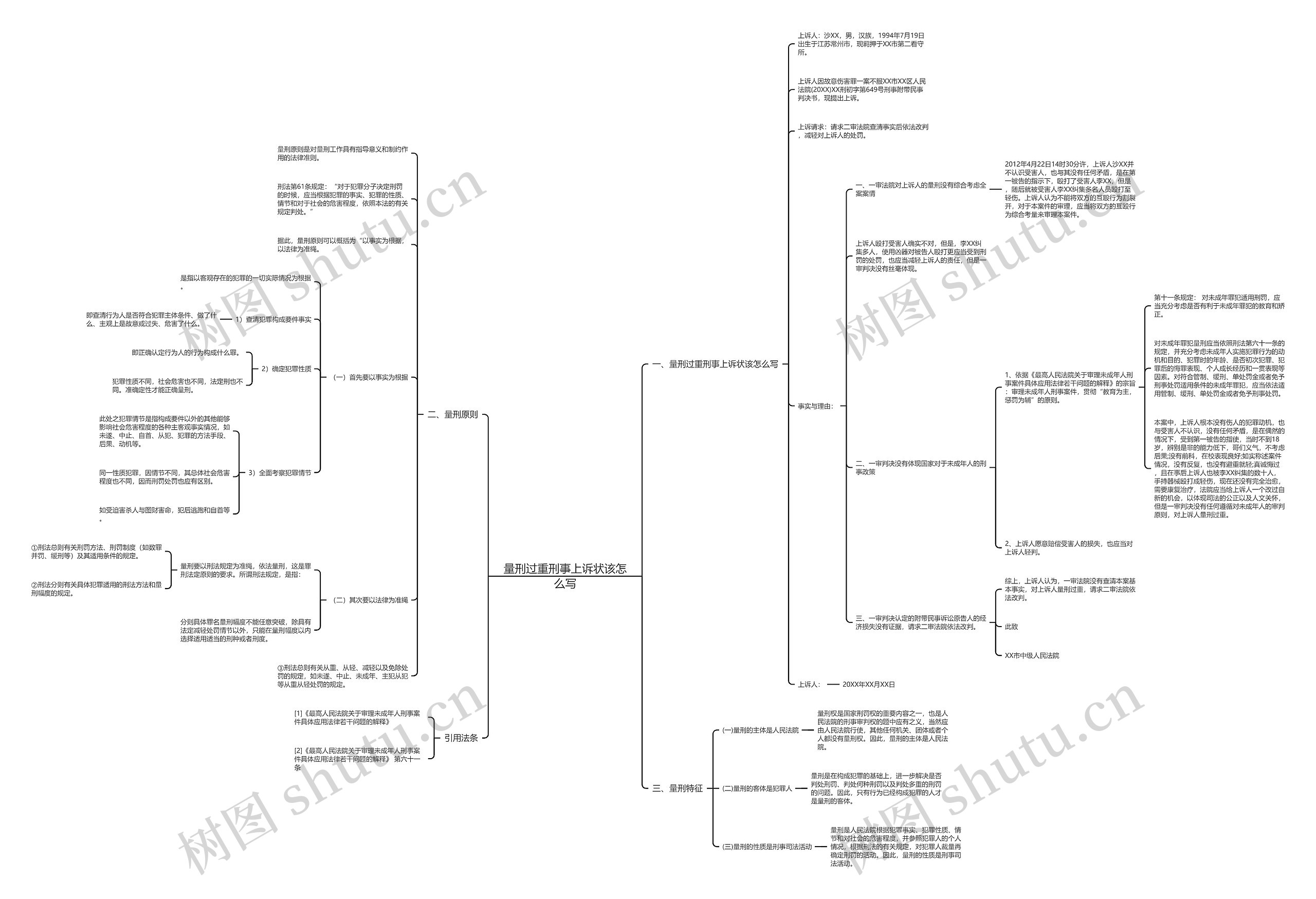 量刑过重刑事上诉状该怎么写思维导图