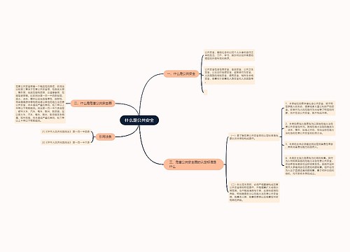 什么是公共安全