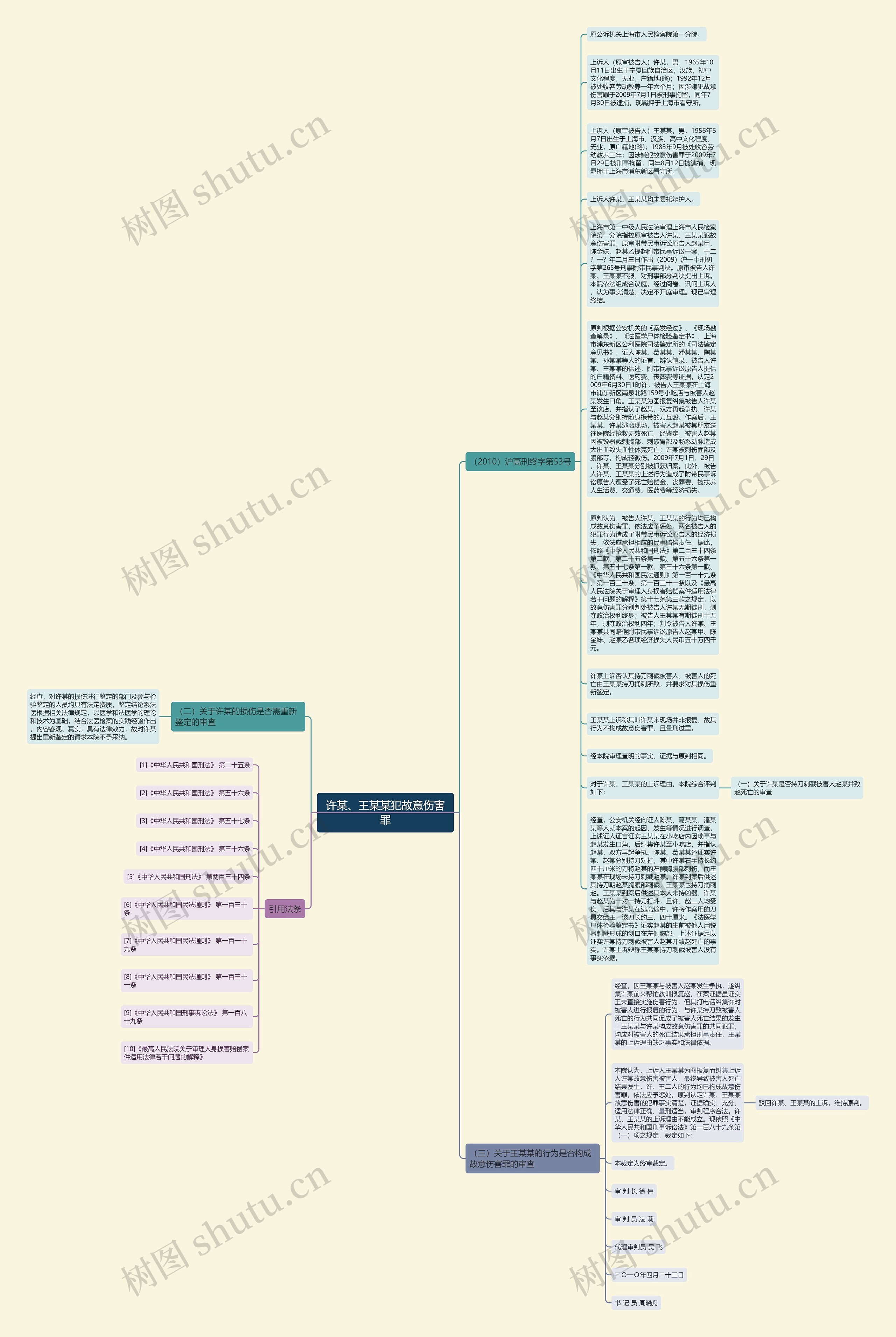 许某、王某某犯故意伤害罪思维导图