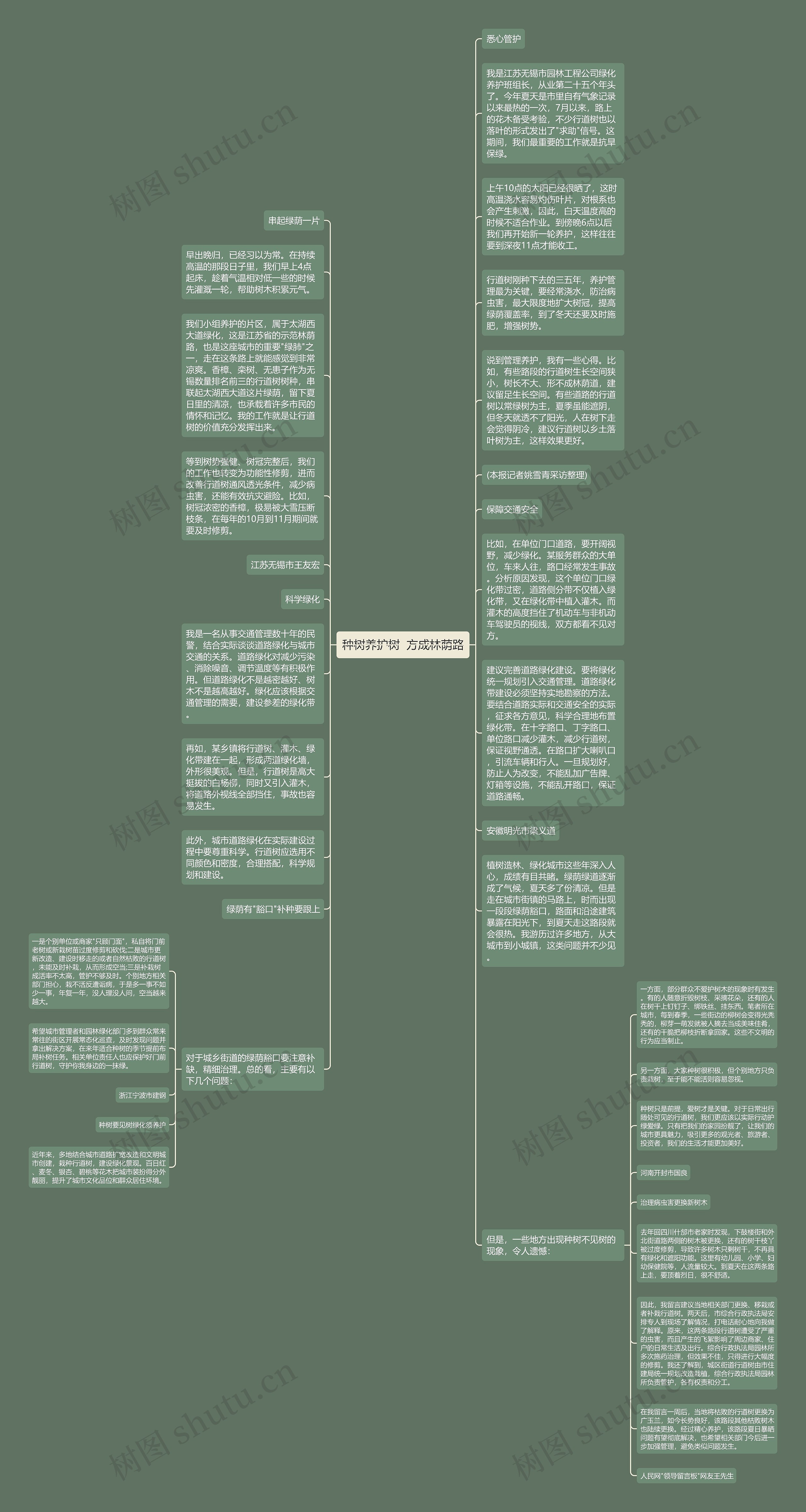 种树养护树  方成林荫路思维导图