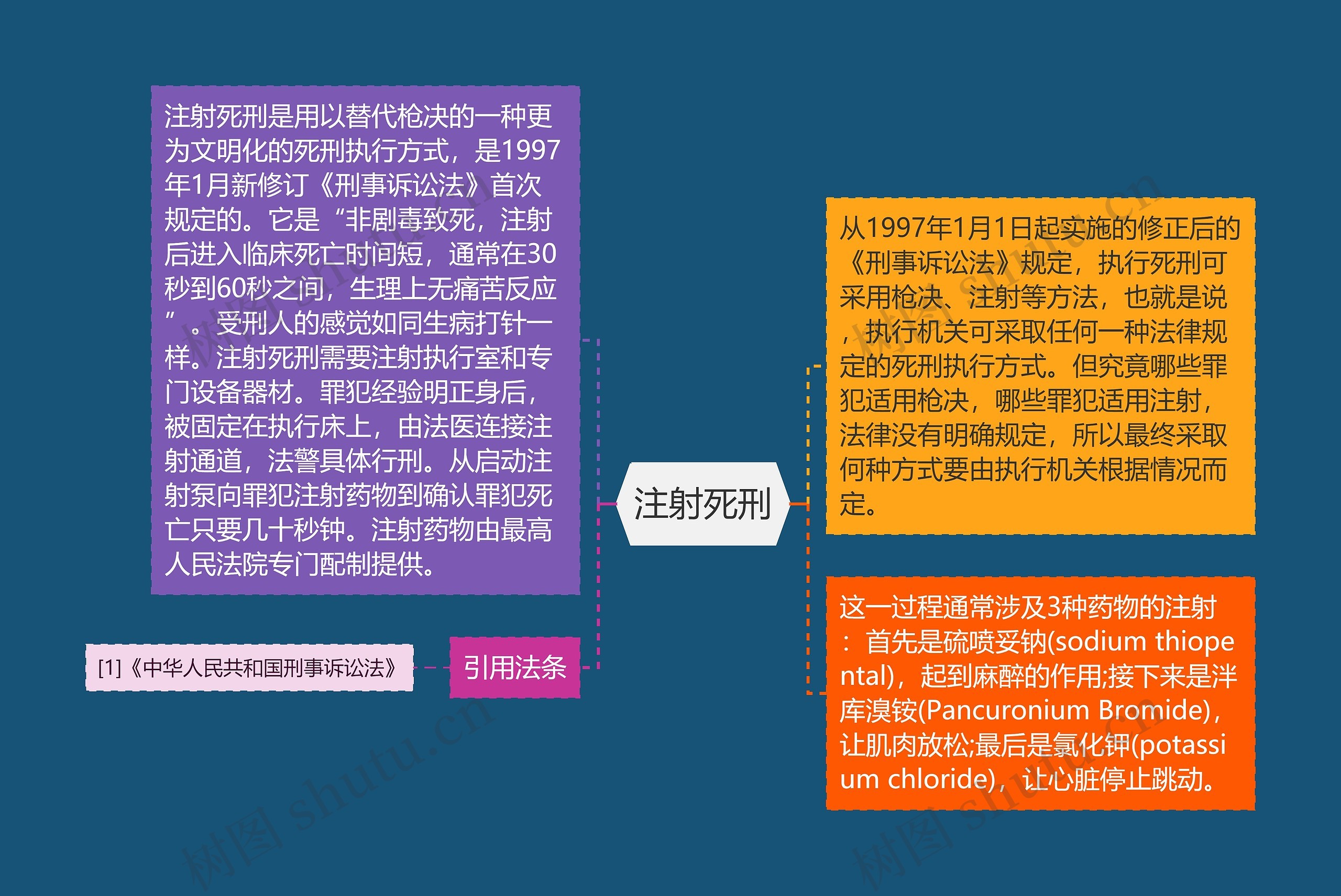 注射死刑思维导图高清图 注射死刑思维导图