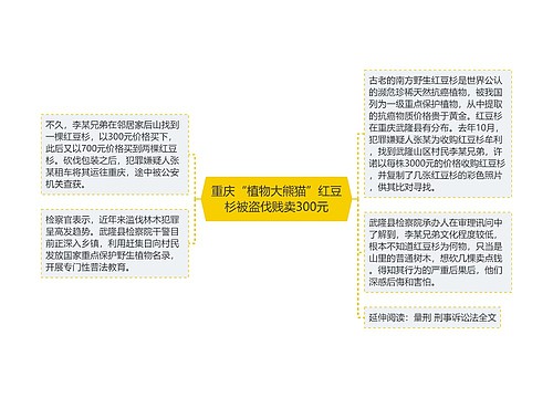 重庆“植物大熊猫”红豆杉被盗伐贱卖300元