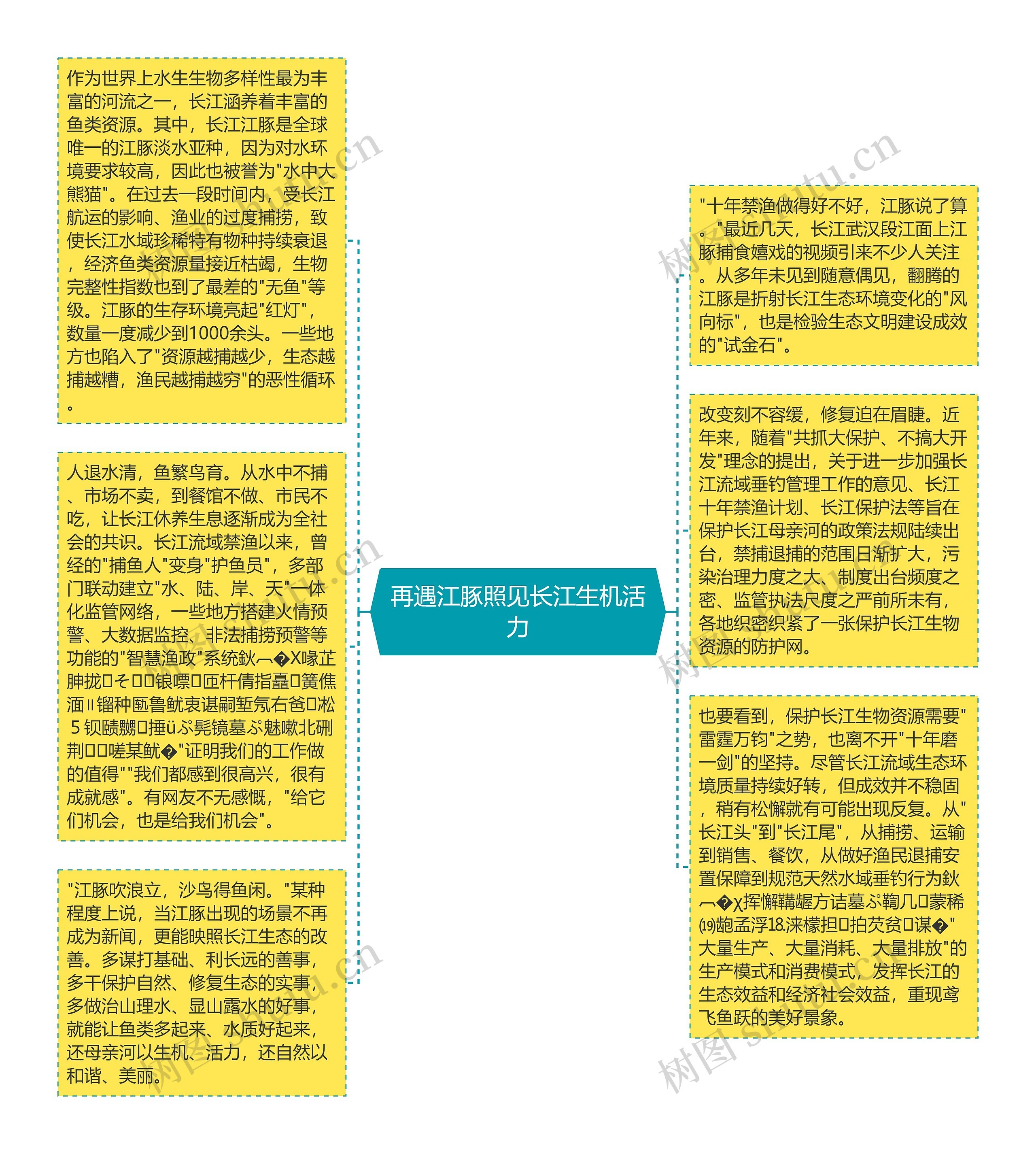 再遇江豚照见长江生机活力