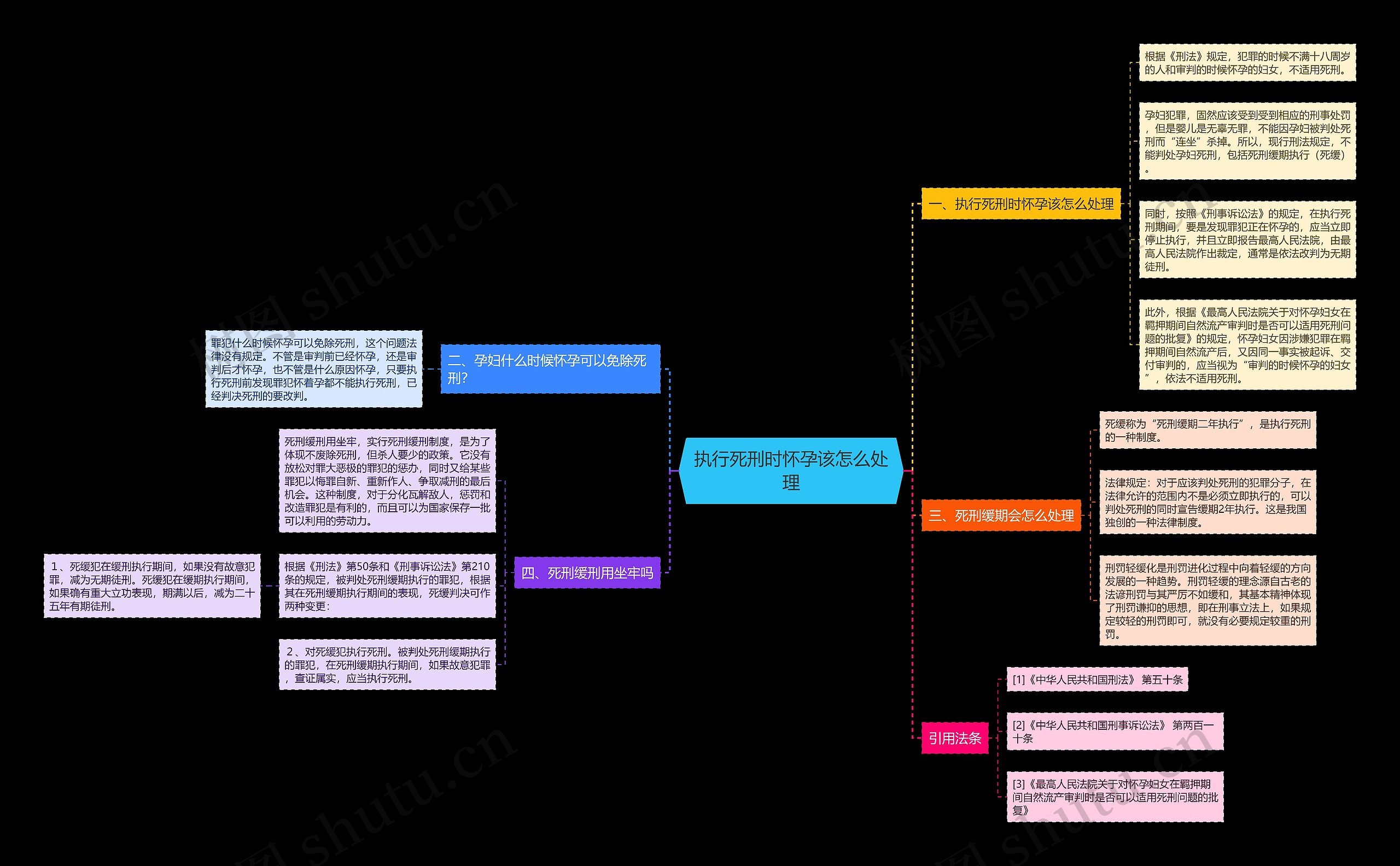 执行死刑时怀孕该怎么处理思维导图
