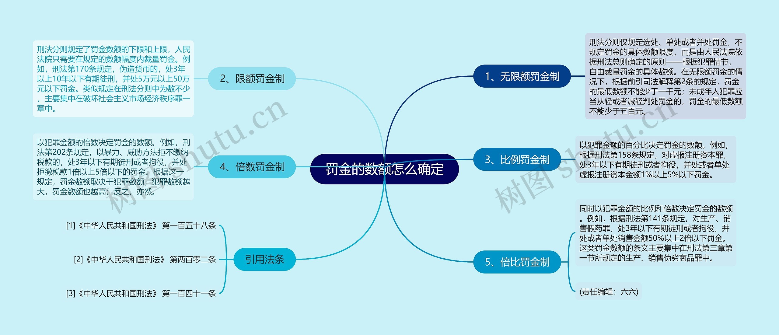 罚金的数额怎么确定思维导图