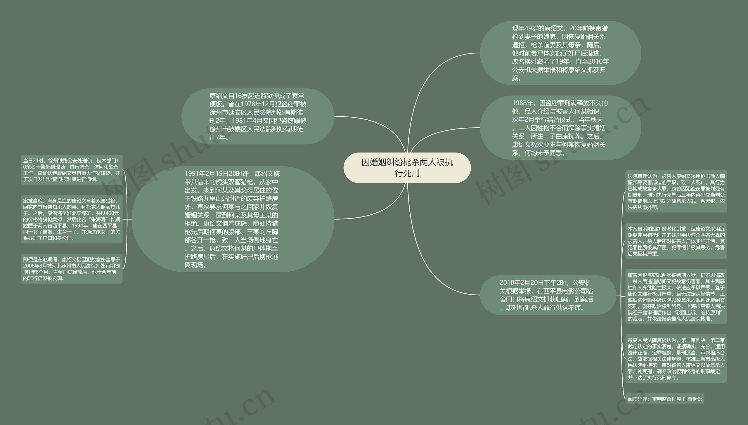 因婚姻纠纷枪杀两人被执行死刑思维导图