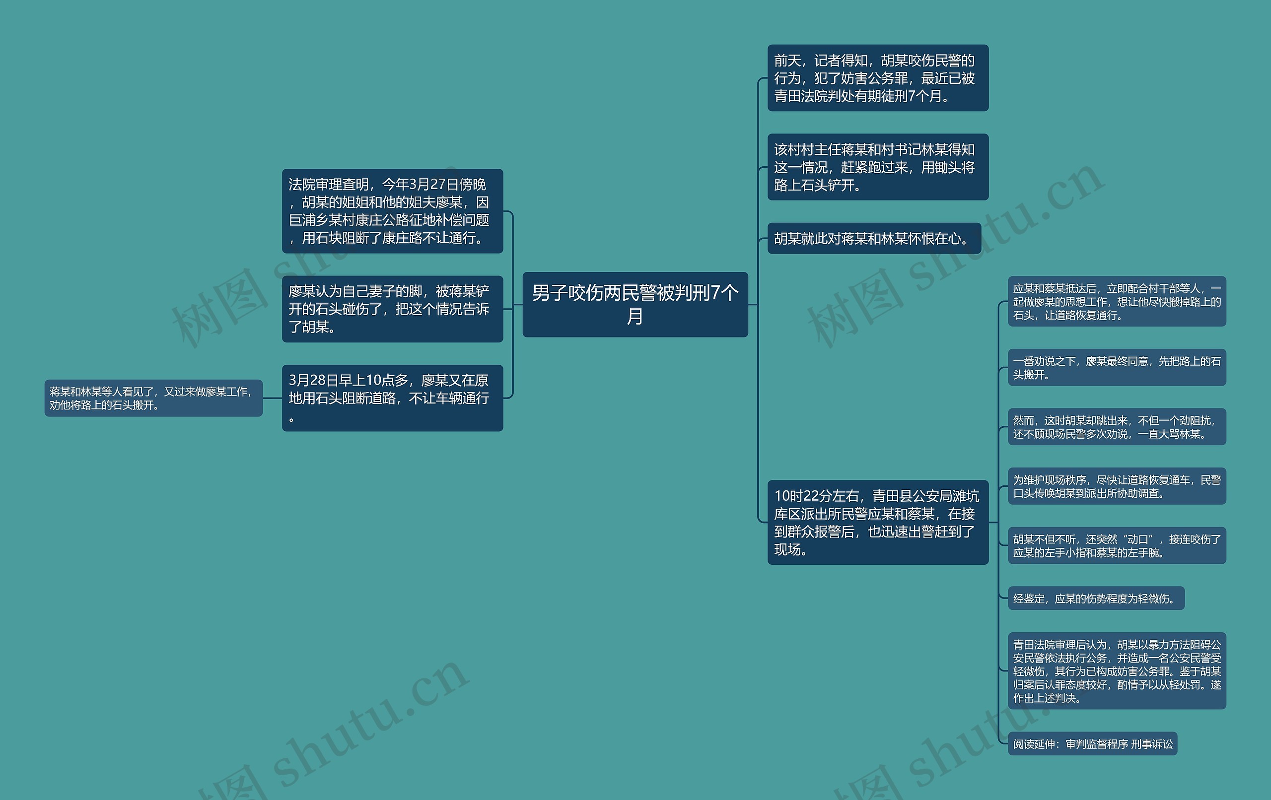 男子咬伤两民警被判刑7个月思维导图