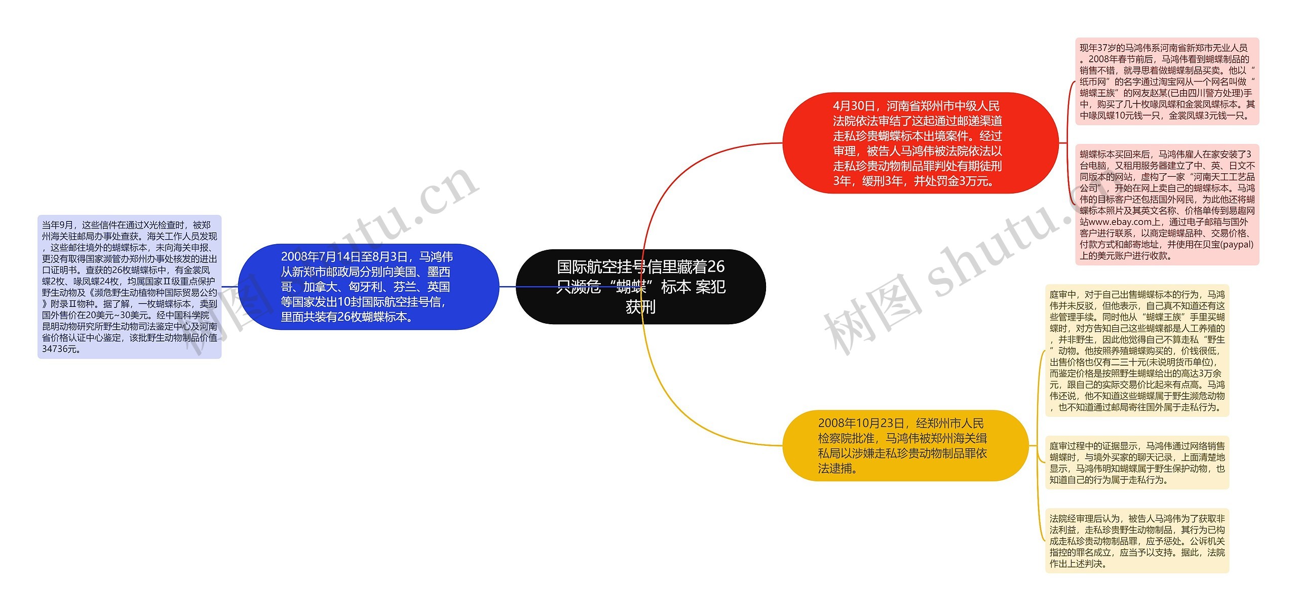 国际航空挂号信里藏着26只濒危“蝴蝶”标本 案犯获刑思维导图