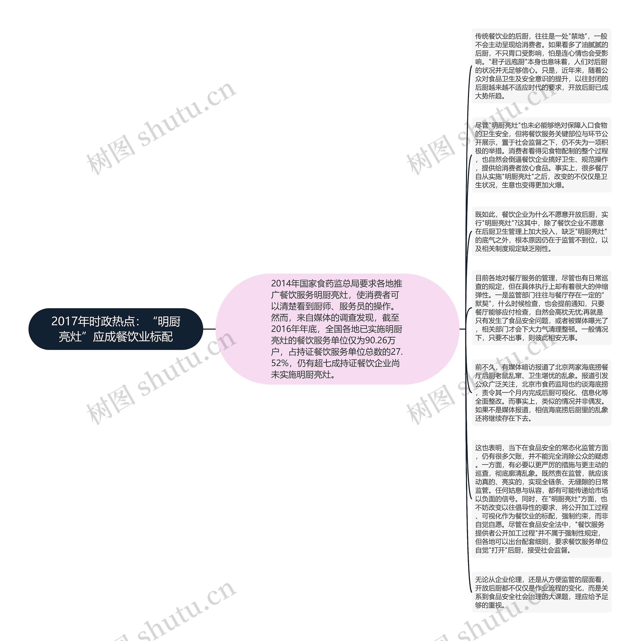 2017年时政热点：“明厨亮灶”应成餐饮业标配思维导图