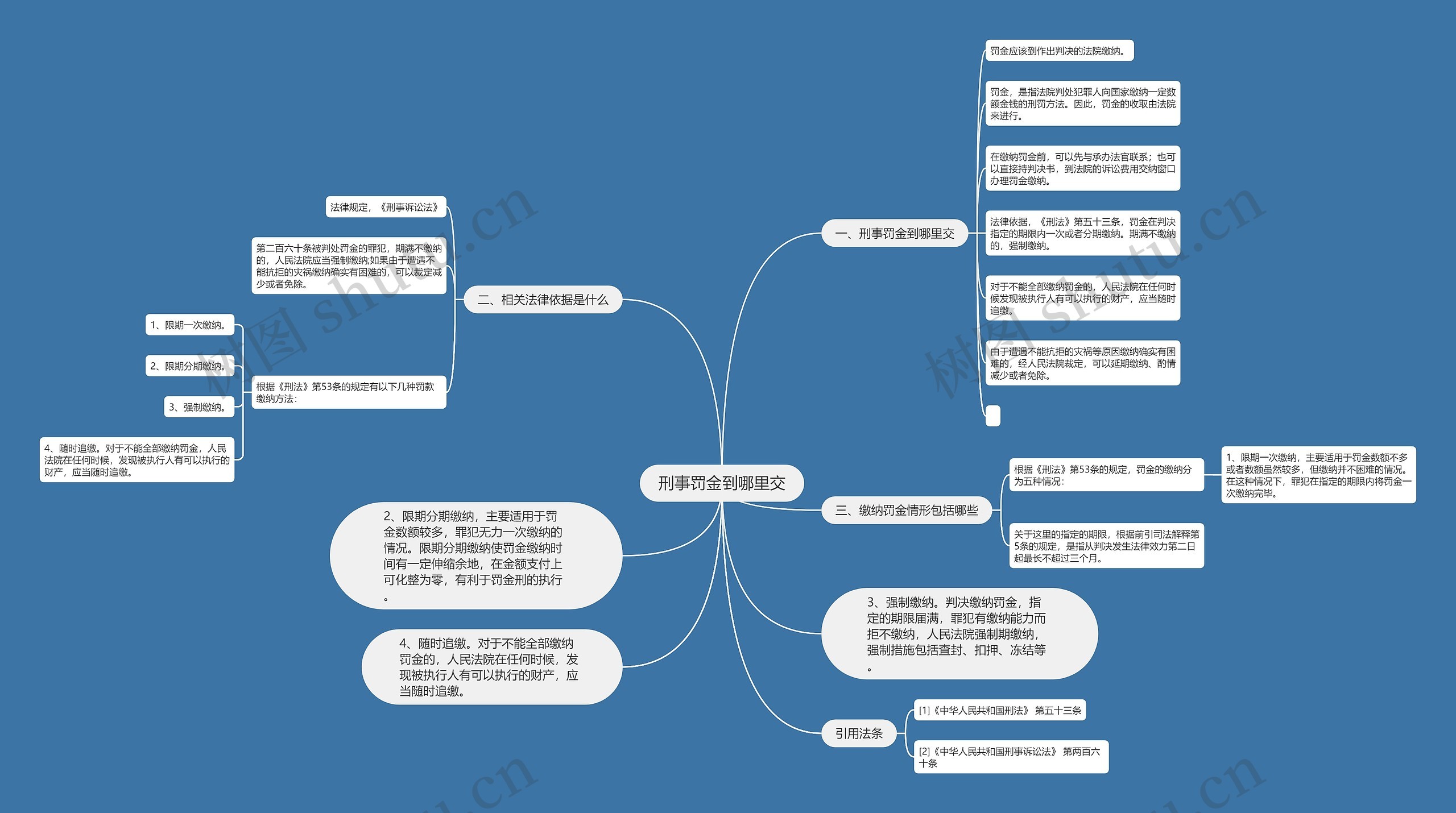 刑事罚金到哪里交思维导图