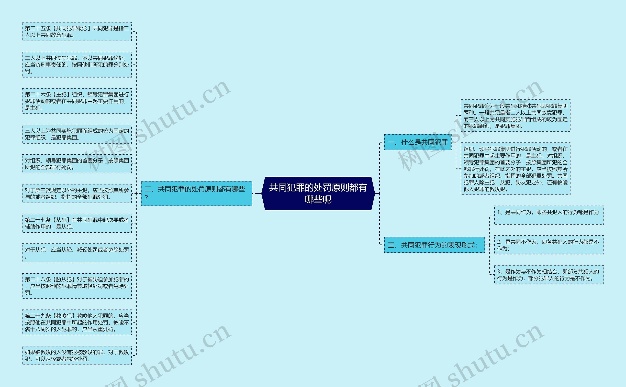 共同犯罪的处罚原则都有哪些呢思维导图