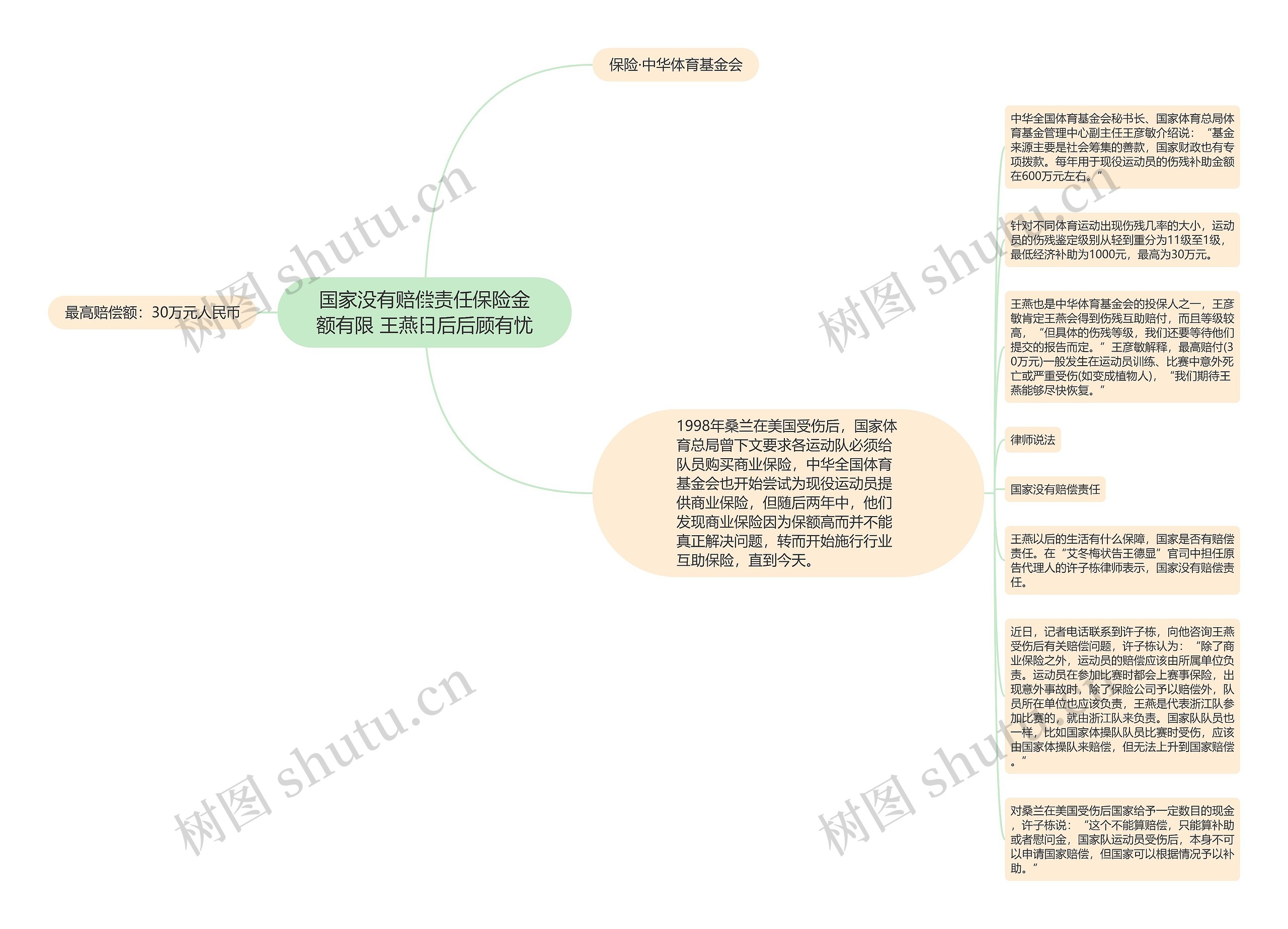 国家没有赔偿责任保险金额有限 王燕日后后顾有忧思维导图