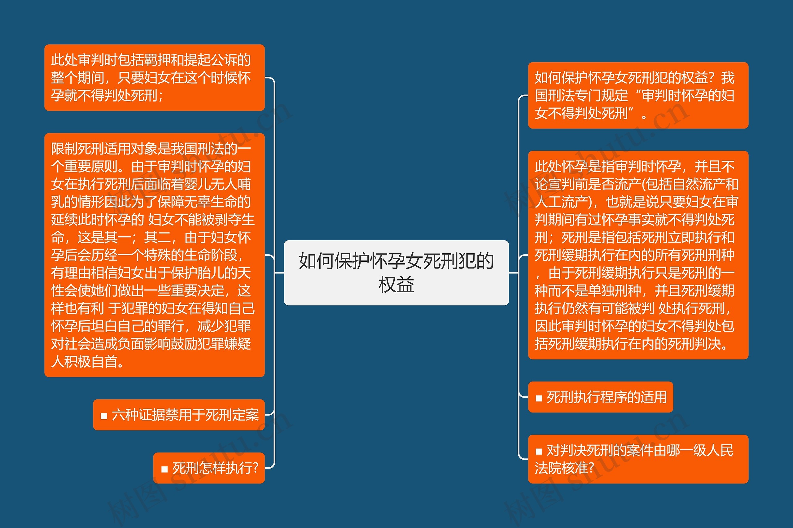 如何保护怀孕女死刑犯的权益思维导图