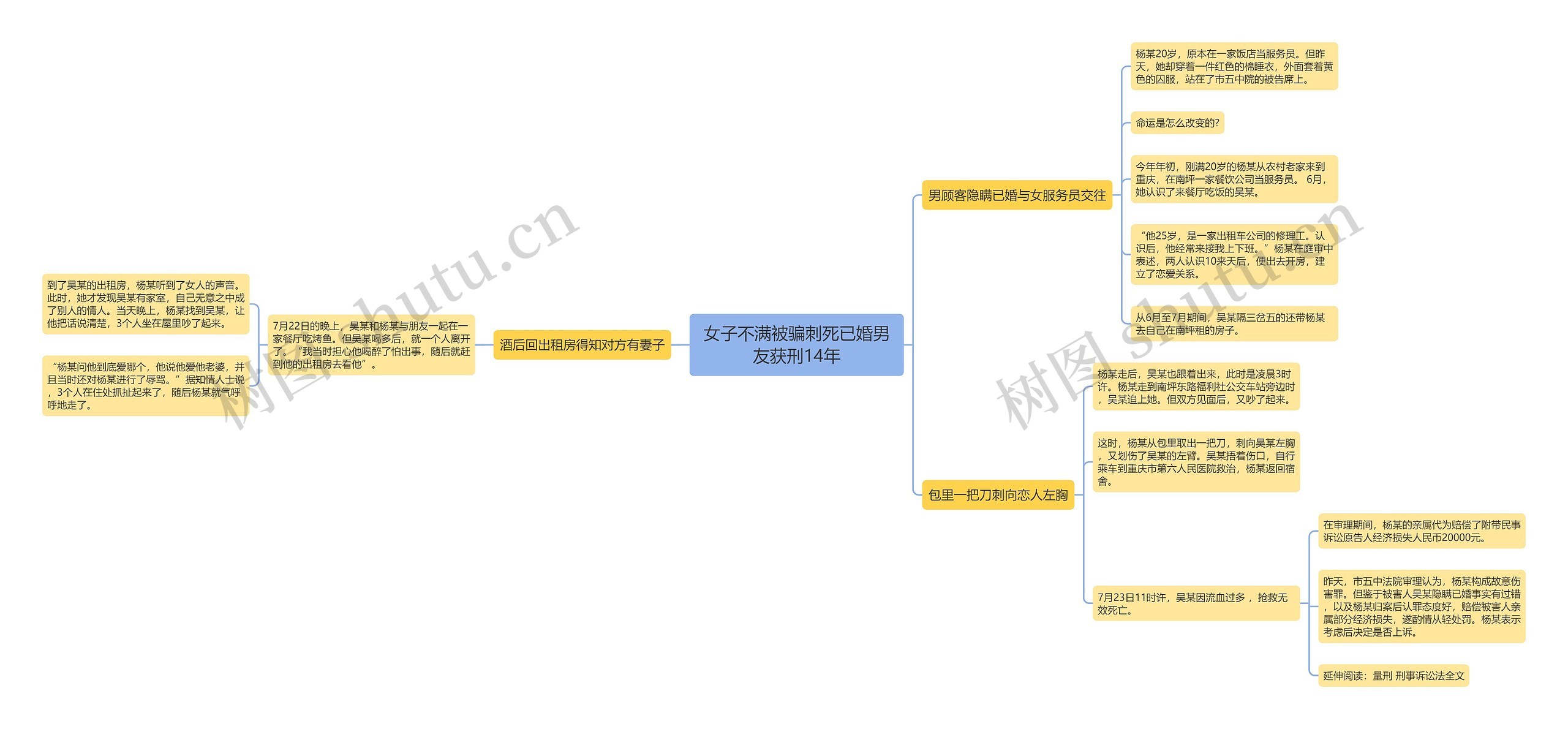 女子不满被骗刺死已婚男友获刑14年思维导图