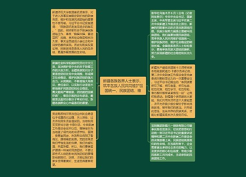 新疆各族各界人士表示，筑牢各族人民共同维护祖国统一、民族团结、维