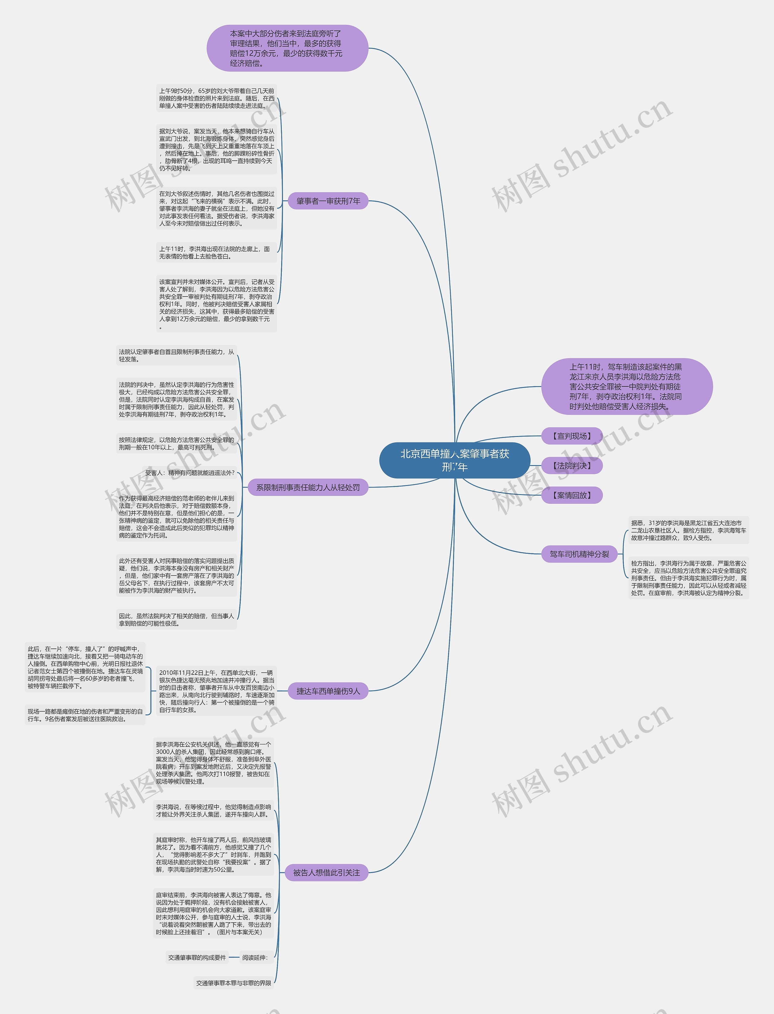 北京西单撞人案肇事者获刑7年思维导图