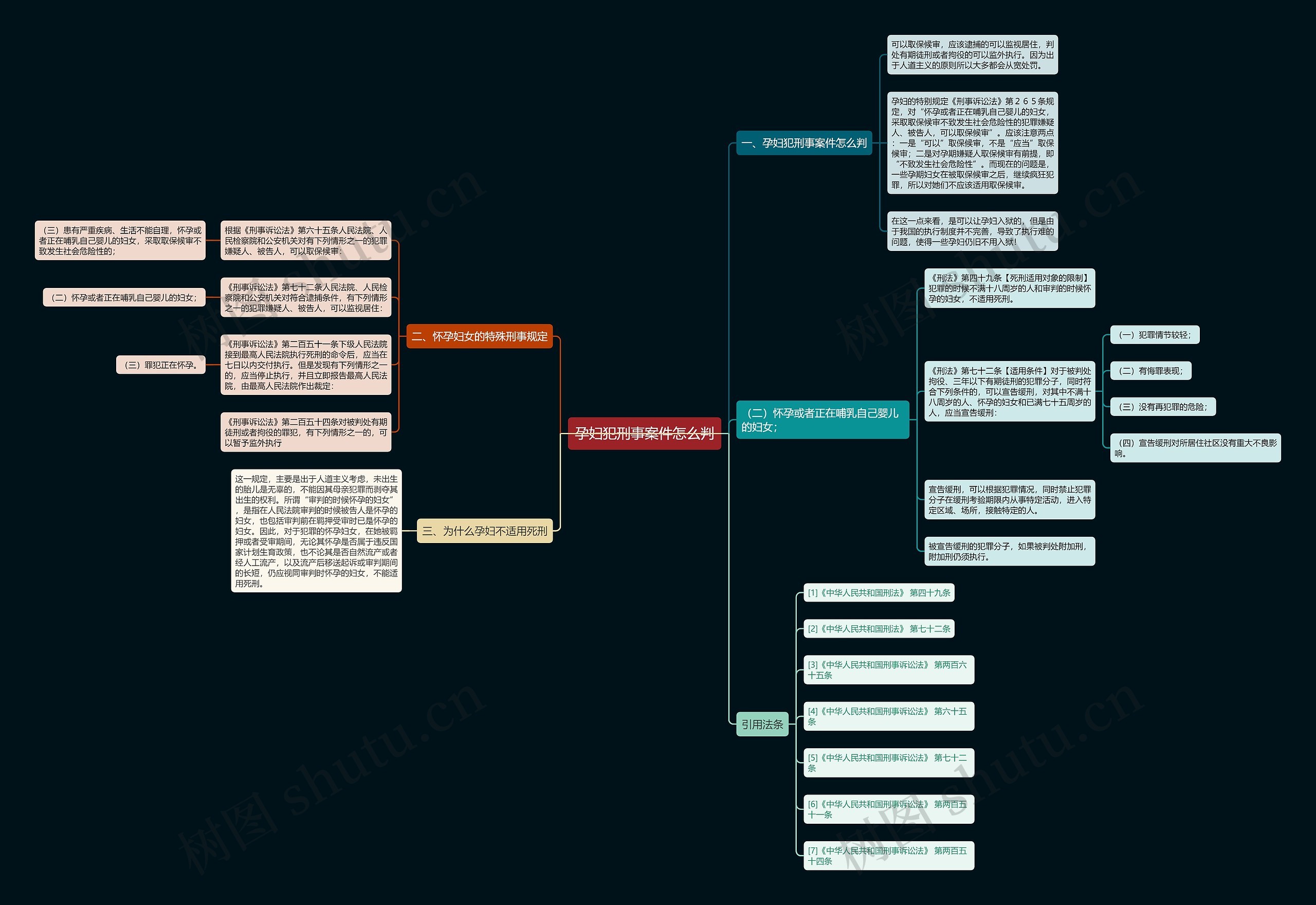 孕妇犯刑事案件怎么判思维导图