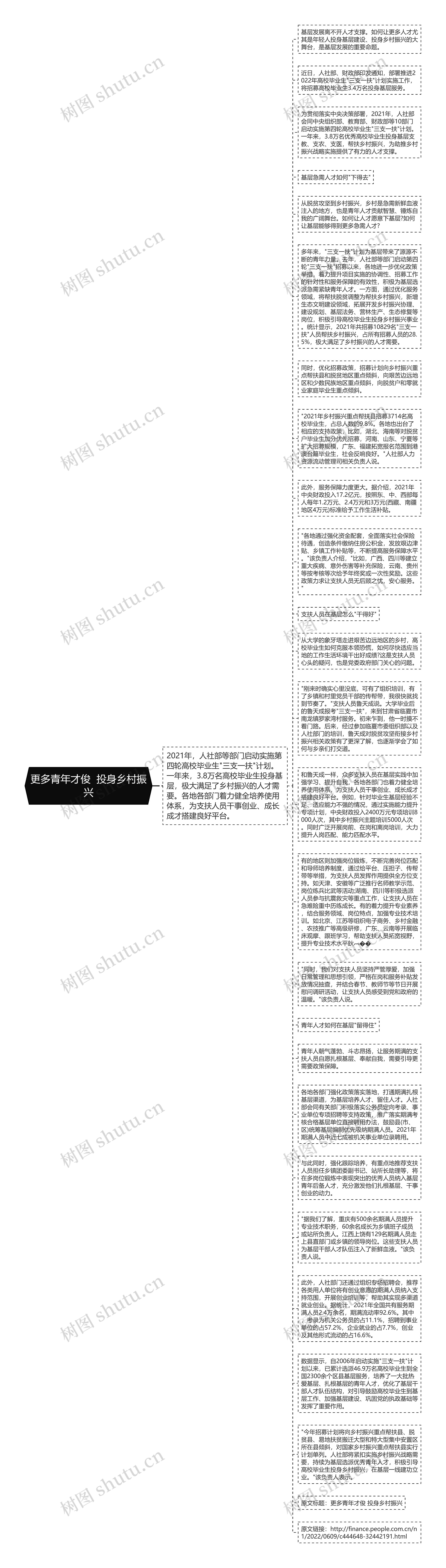 更多青年才俊  投身乡村振兴思维导图