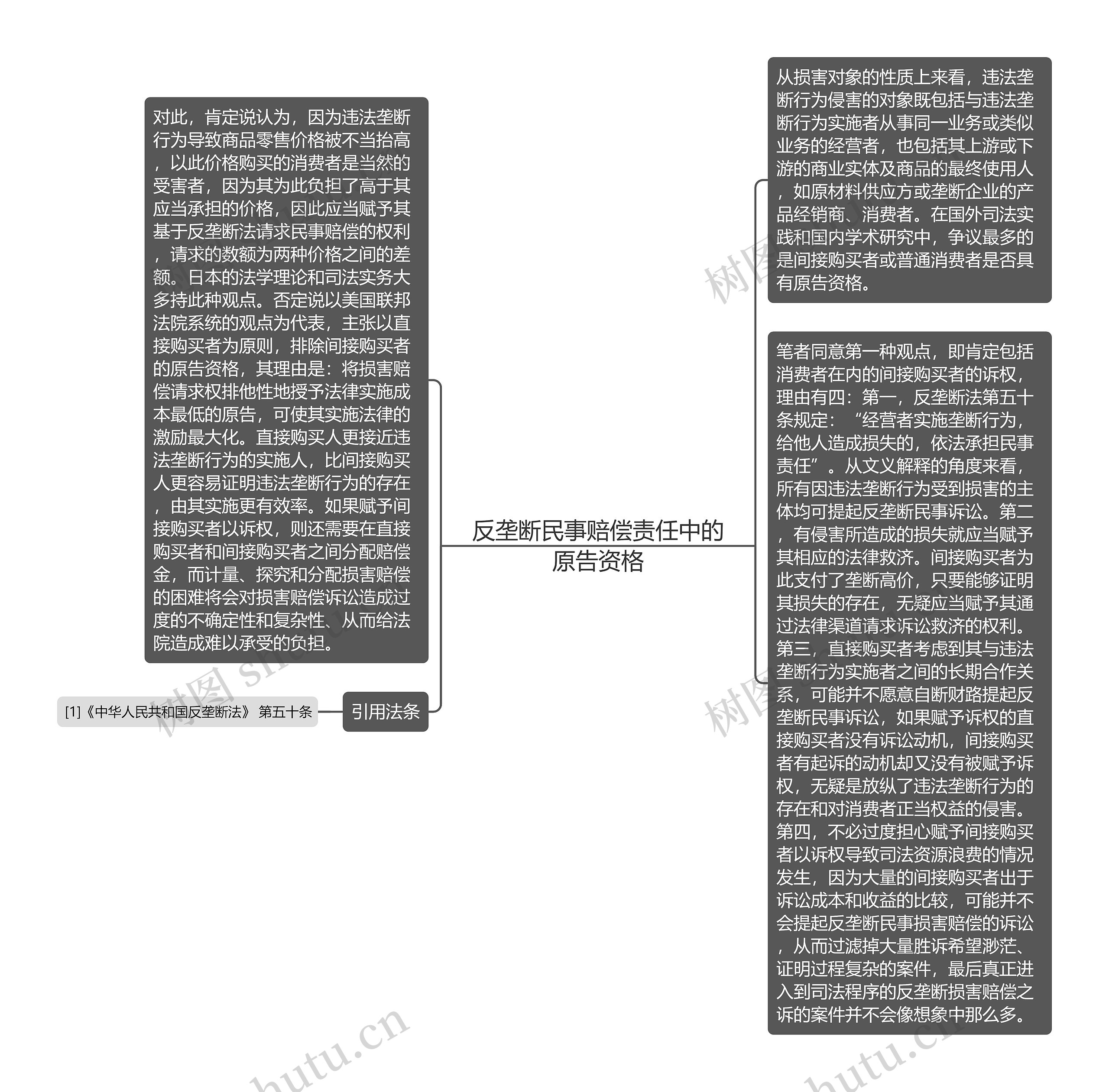 反垄断民事赔偿责任中的原告资格思维导图