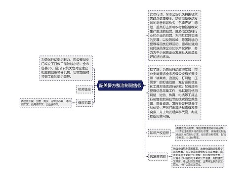 韶关警方整治制假售假